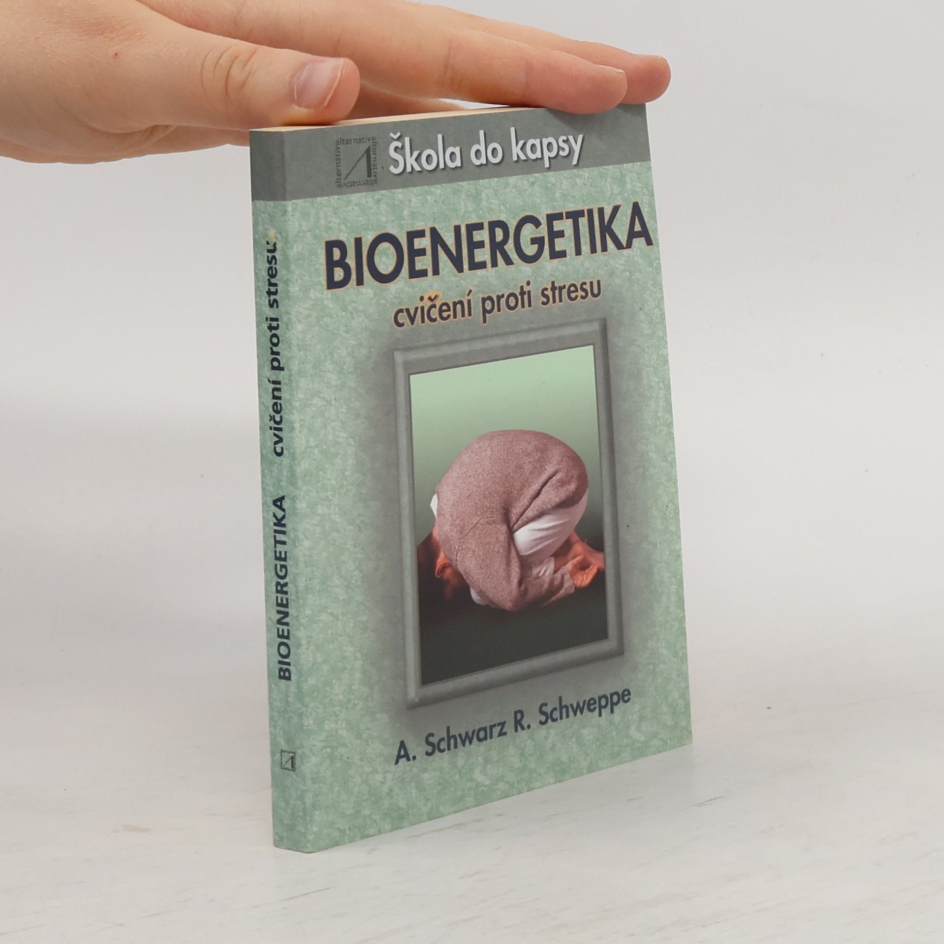 Ronald Schweppe Bioenergetika - cvičení proti stresu