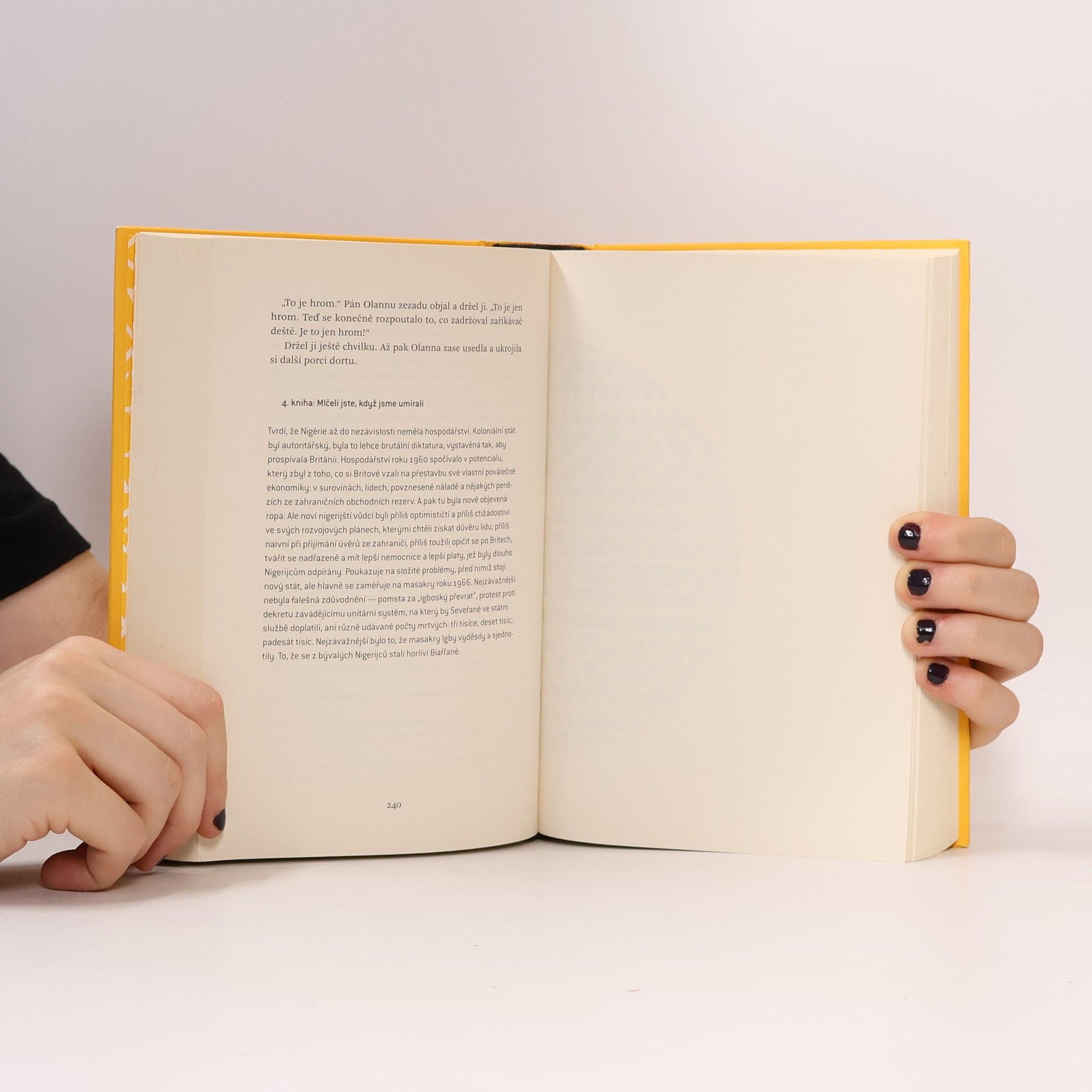 Chimamanda Ngozi Adichieová Půl žlutého slunce