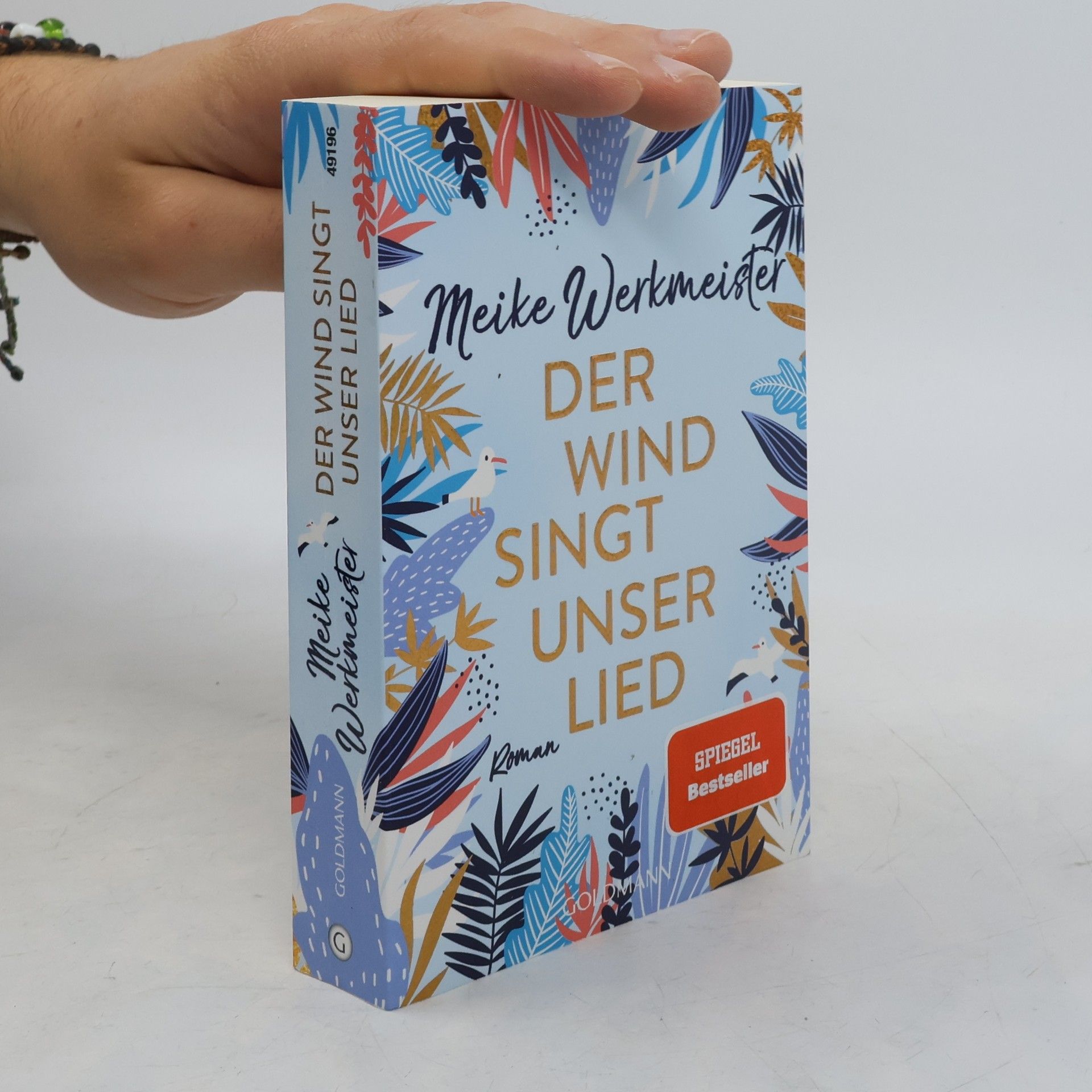 Meike Werkmeister Der Wind singt unser Lied