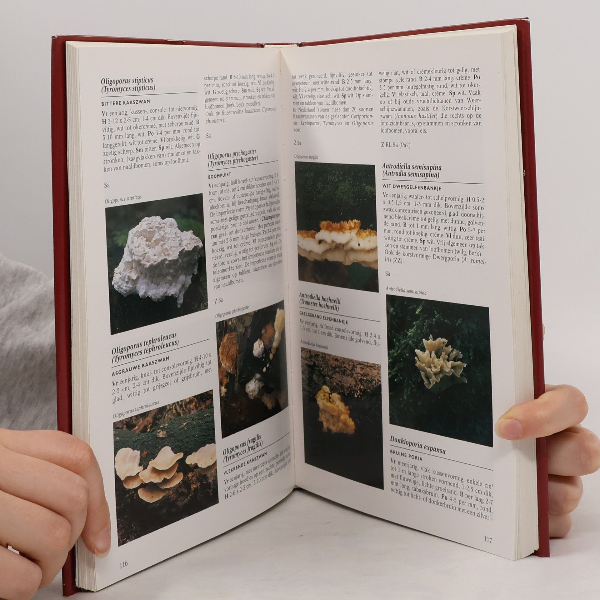 Gerrit J. Keizer Geillustreerde paddestoelen encyclopedie - Druk 1