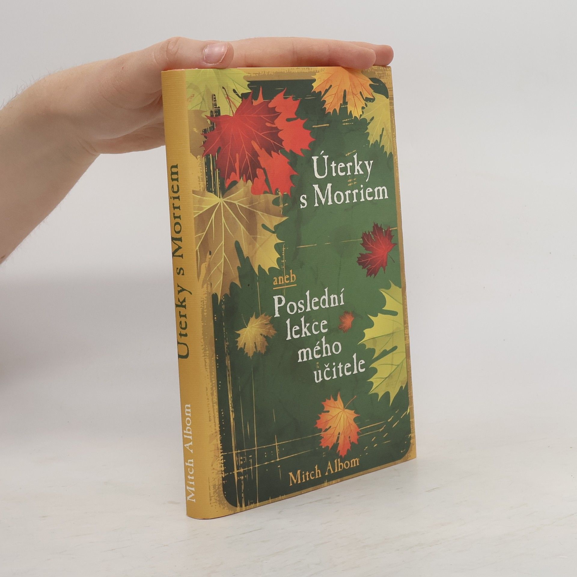 Mitch Albom Úterky s Morriem