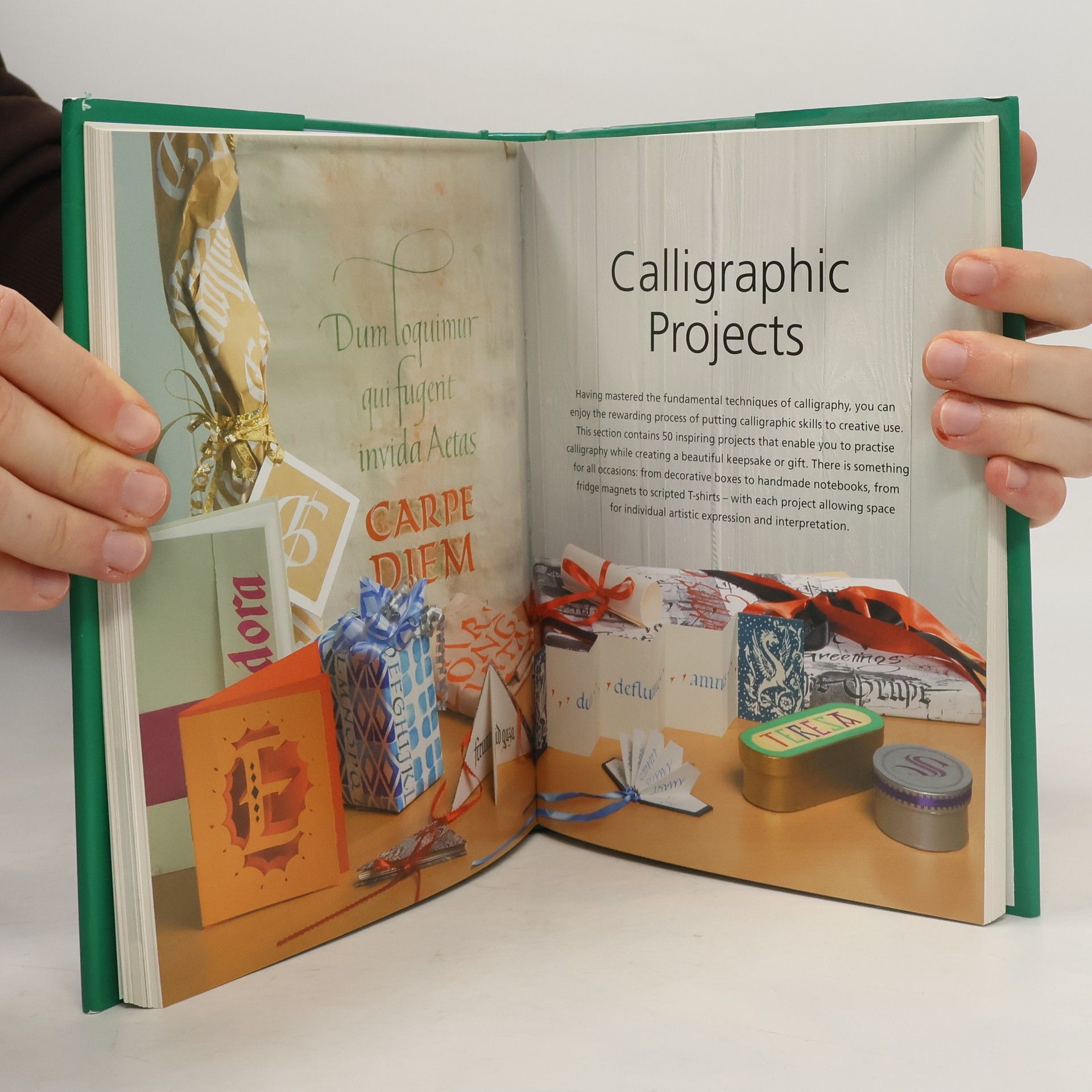 Janet Mehigan Mastering the Art of Calligraphy