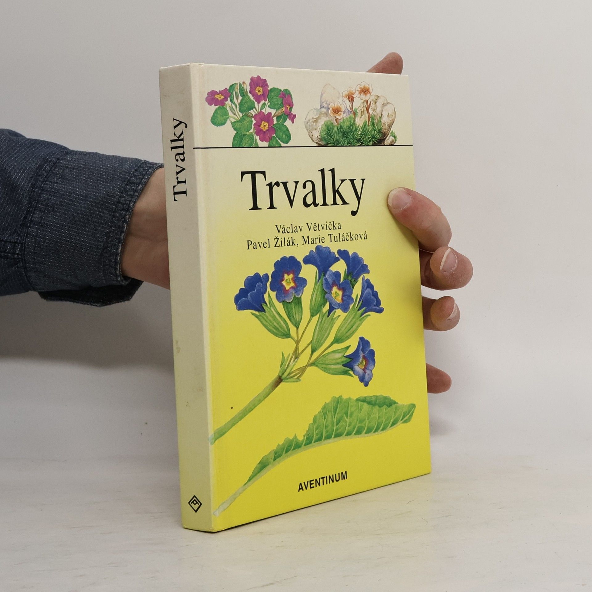 Václav Větvička Trvalky