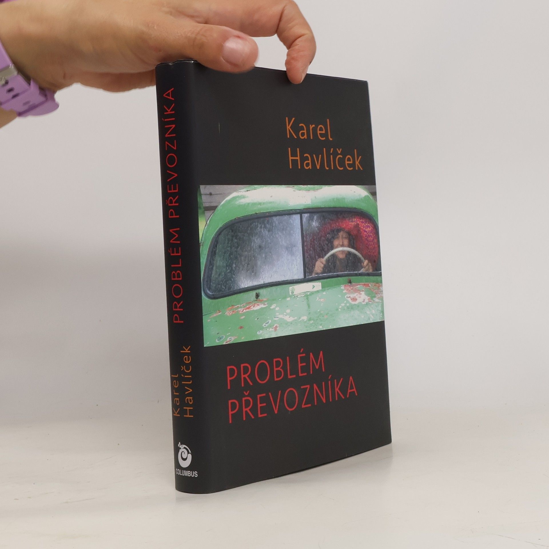 Karel Havlíček Problém převozníka