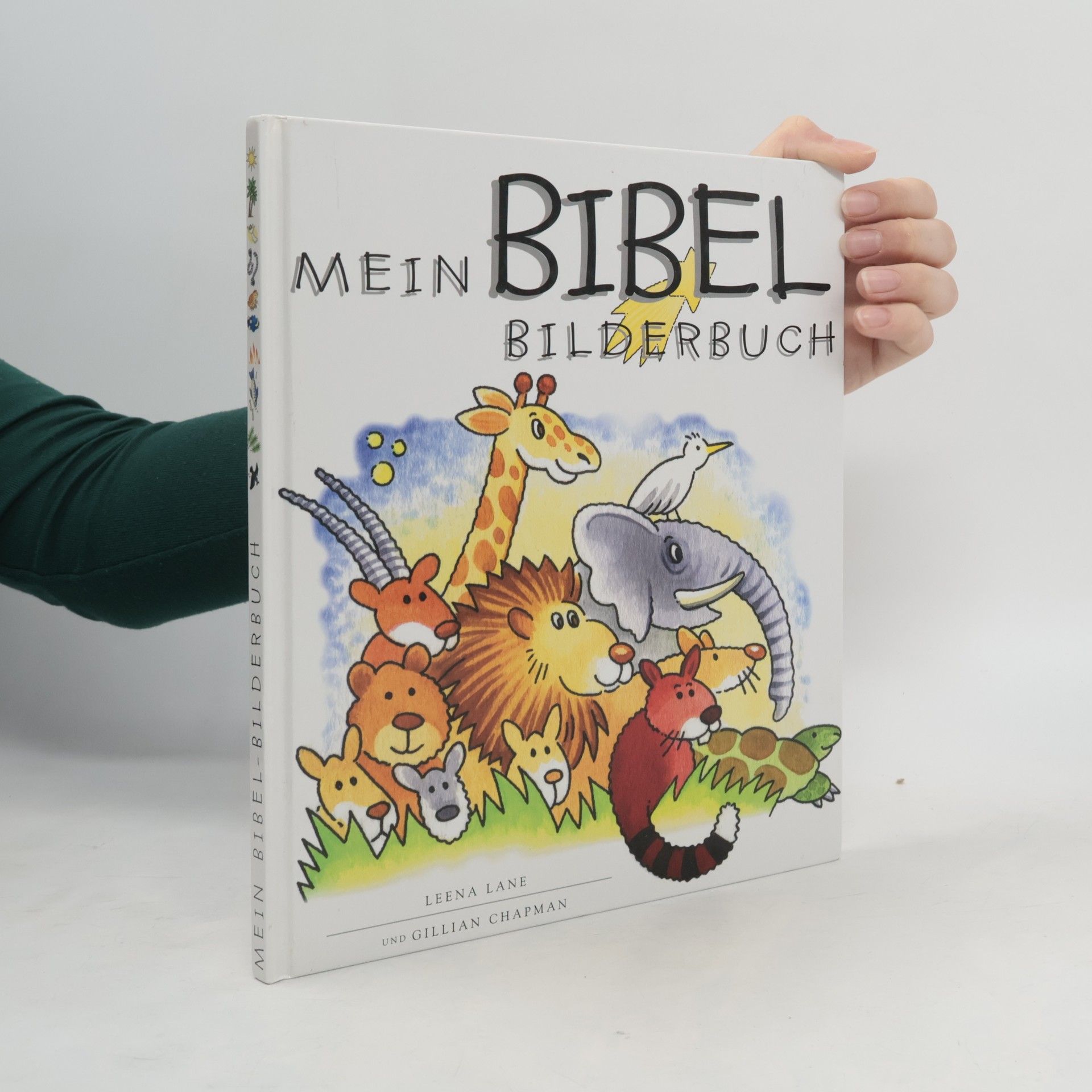 Gillian Chapman Mein Bibel-Bilderbuch