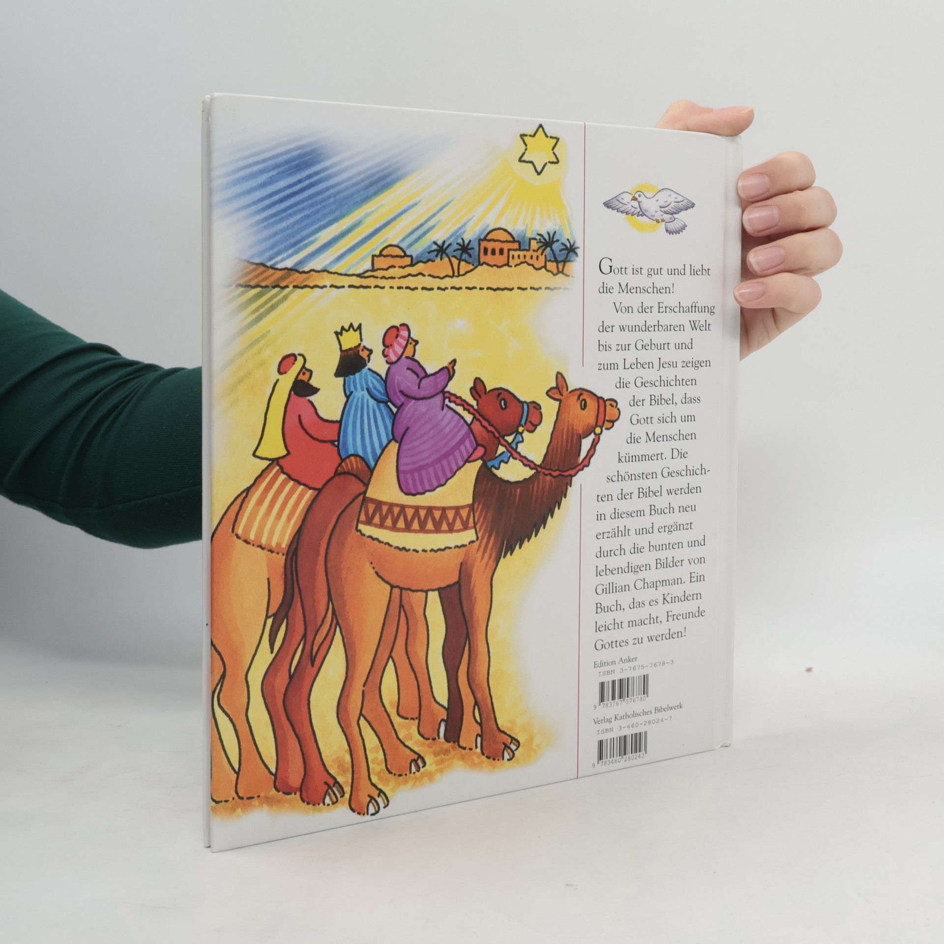 Leena Lane Mein Bibel-Bilderbuch