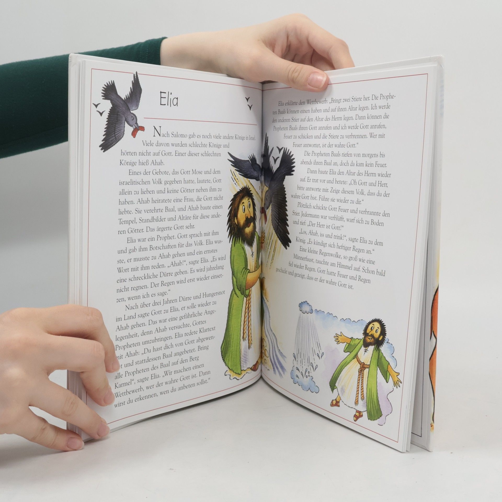 Leena Lane Mein Bibel-Bilderbuch