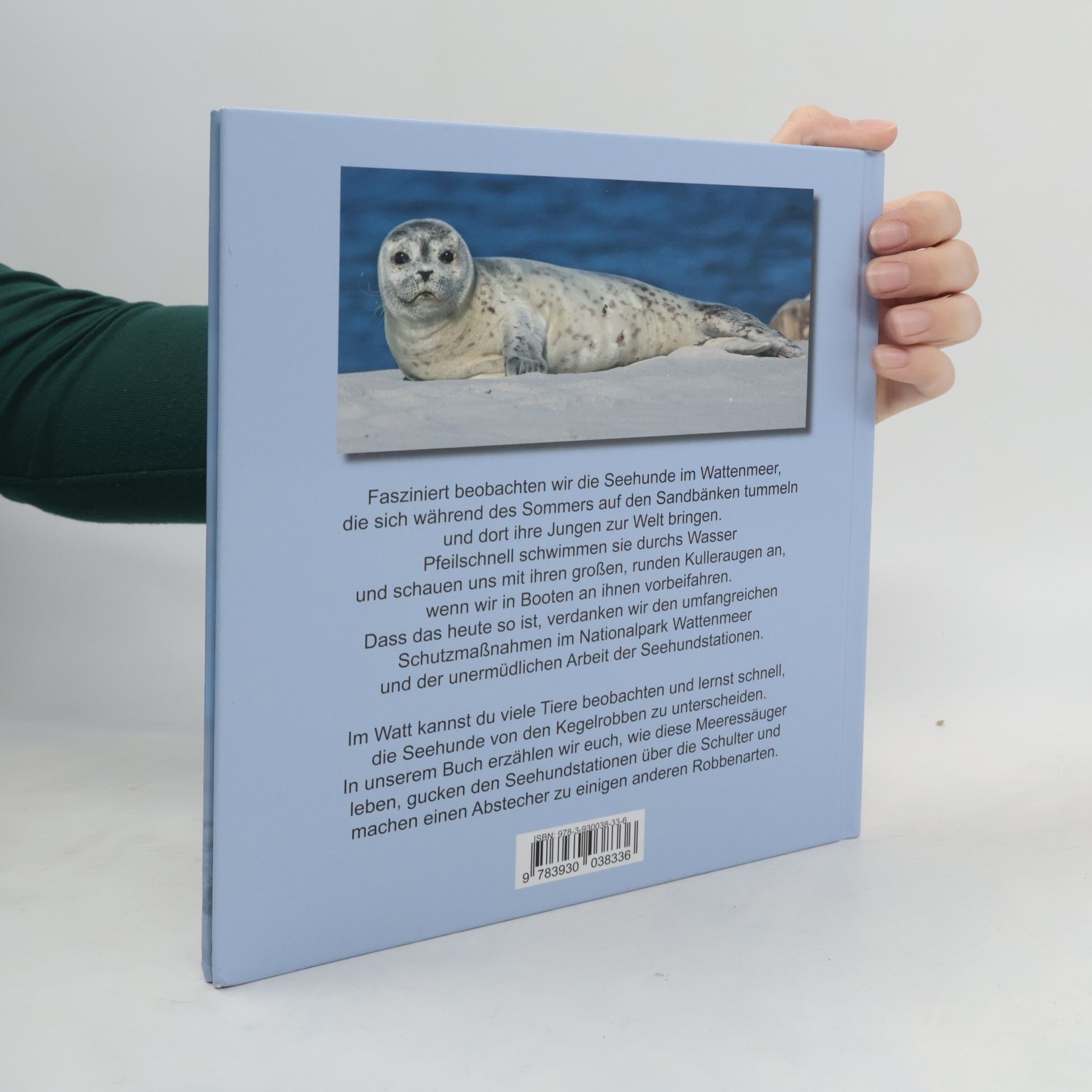 Heiderose Fischer-Nagel Seehunde im Wattenmeer