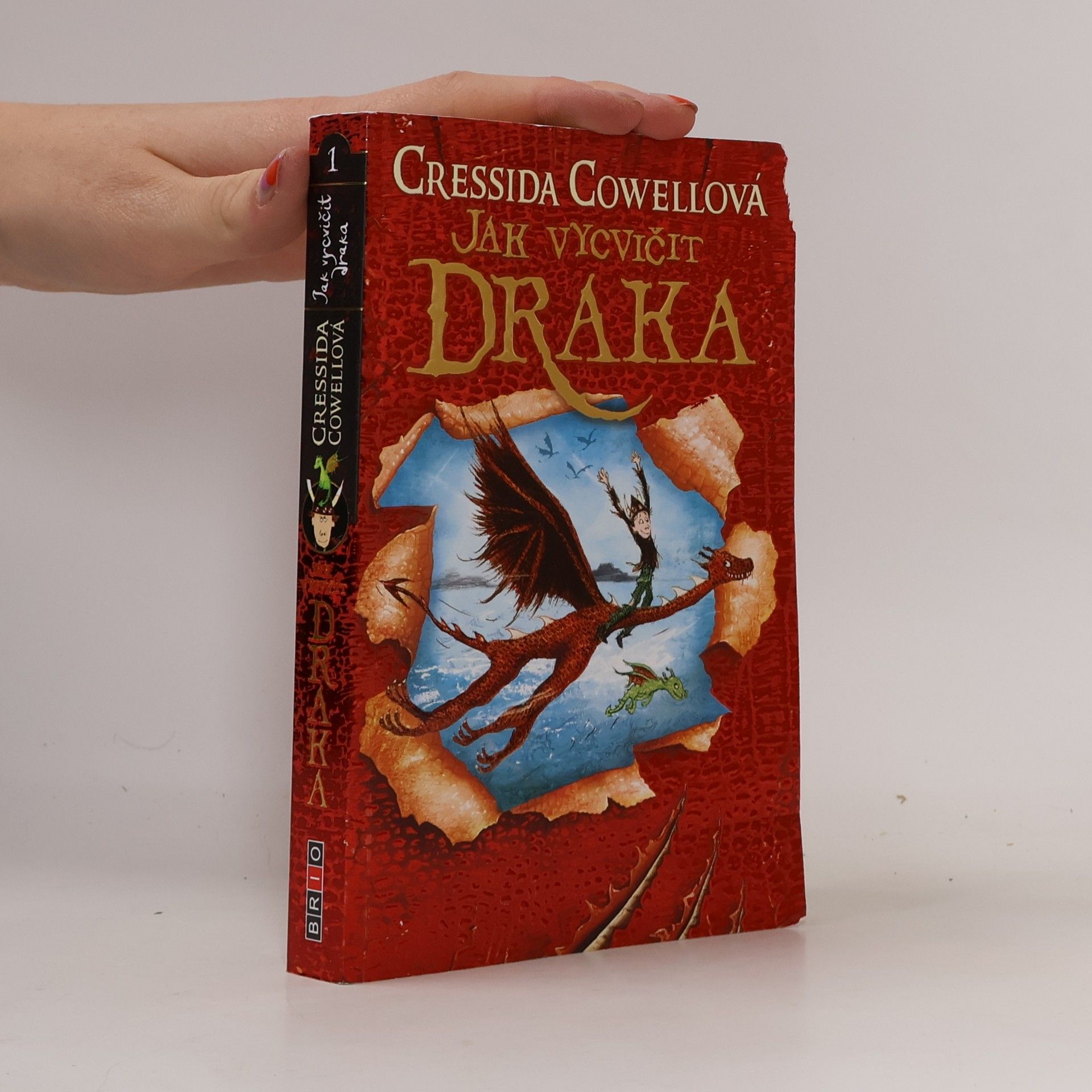 Cressida Cowell Jak vycvičit draka 1