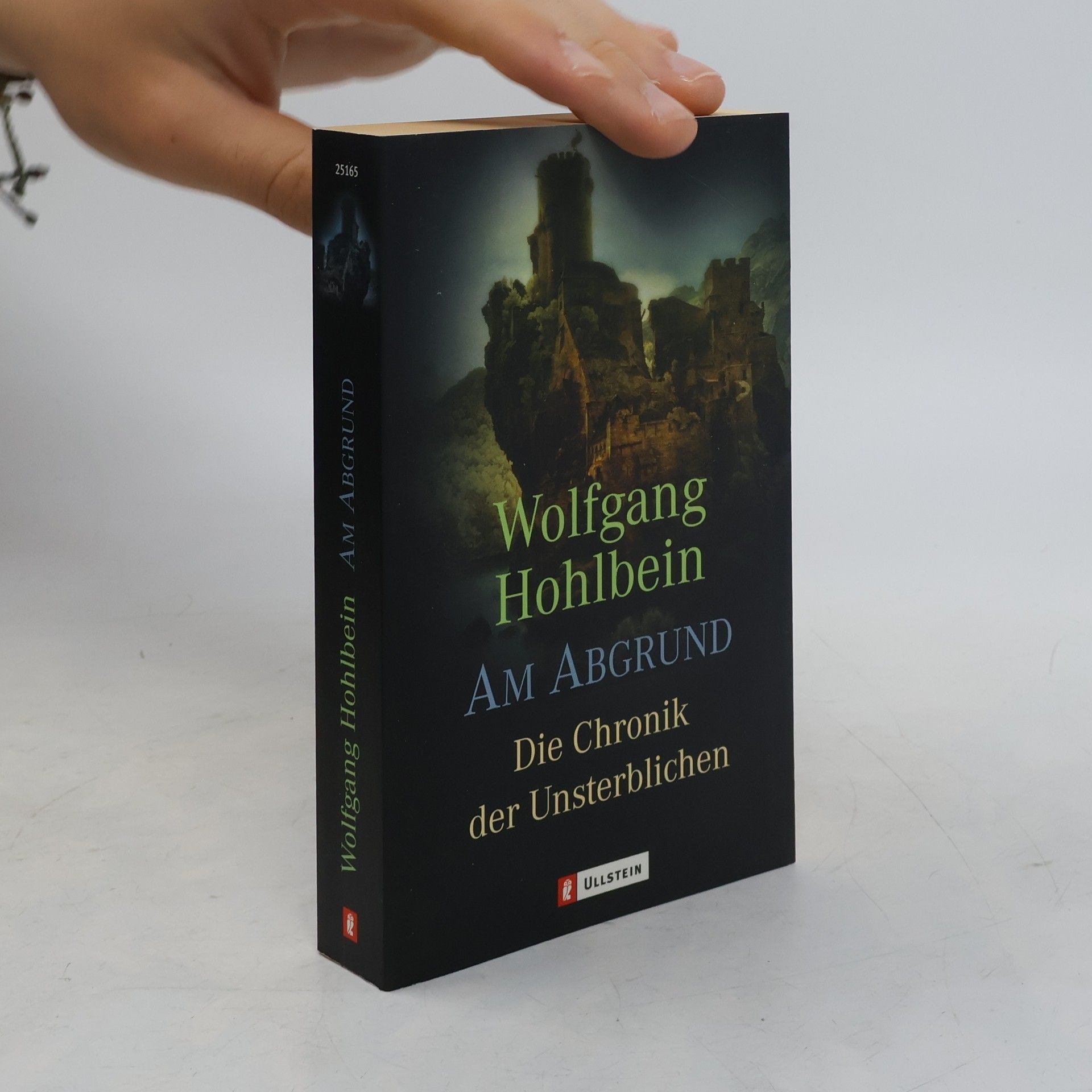 Wolfgang Hohlbein Die Chronik der Unsterblichen. Am Abgrund