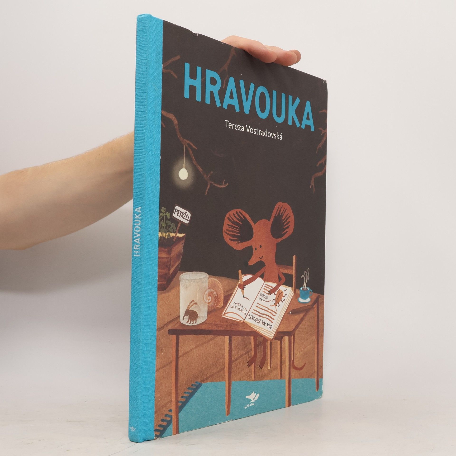 Tereza Vostradovská Hravouka