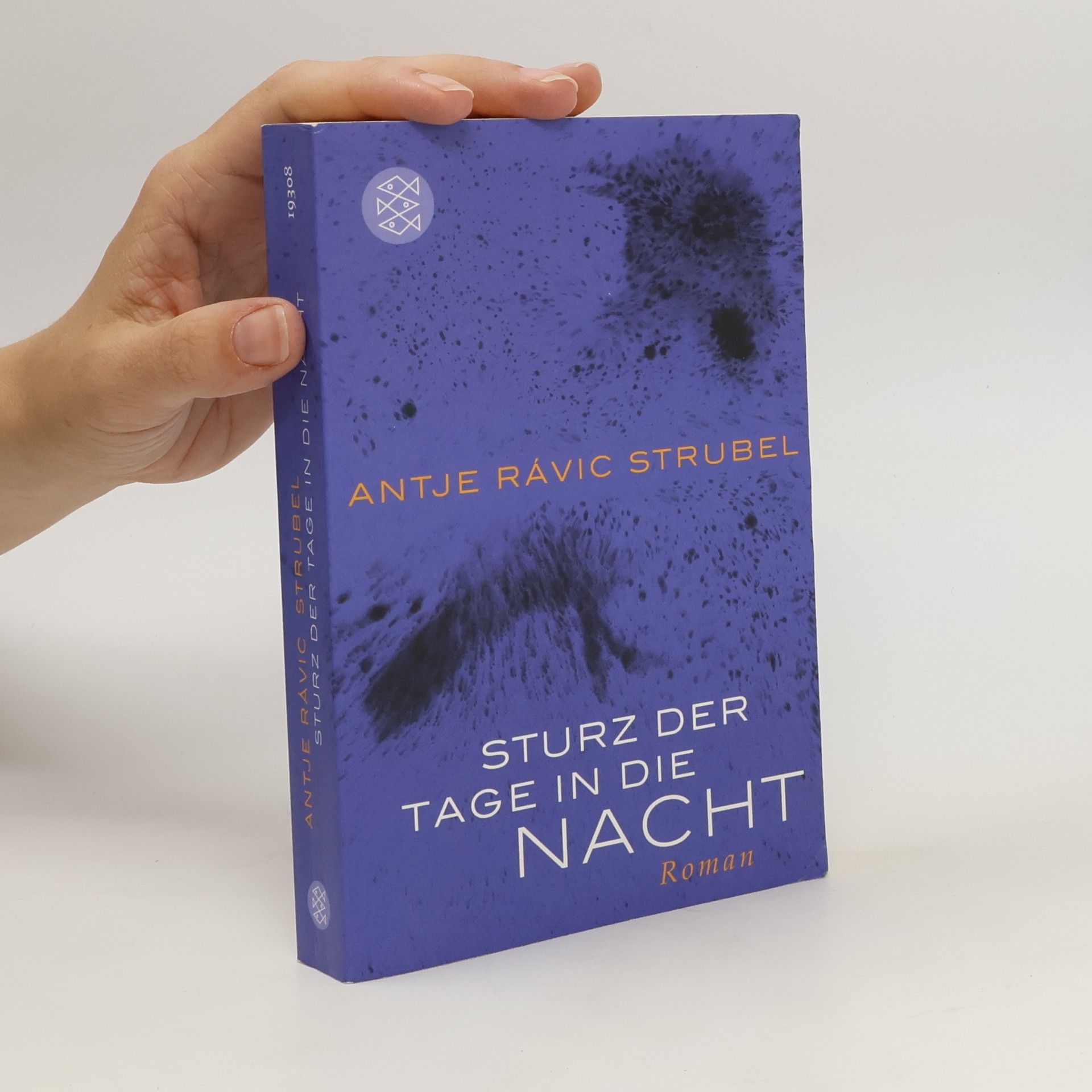 Antje Rávic Strubel Sturz der Tage in die Nacht