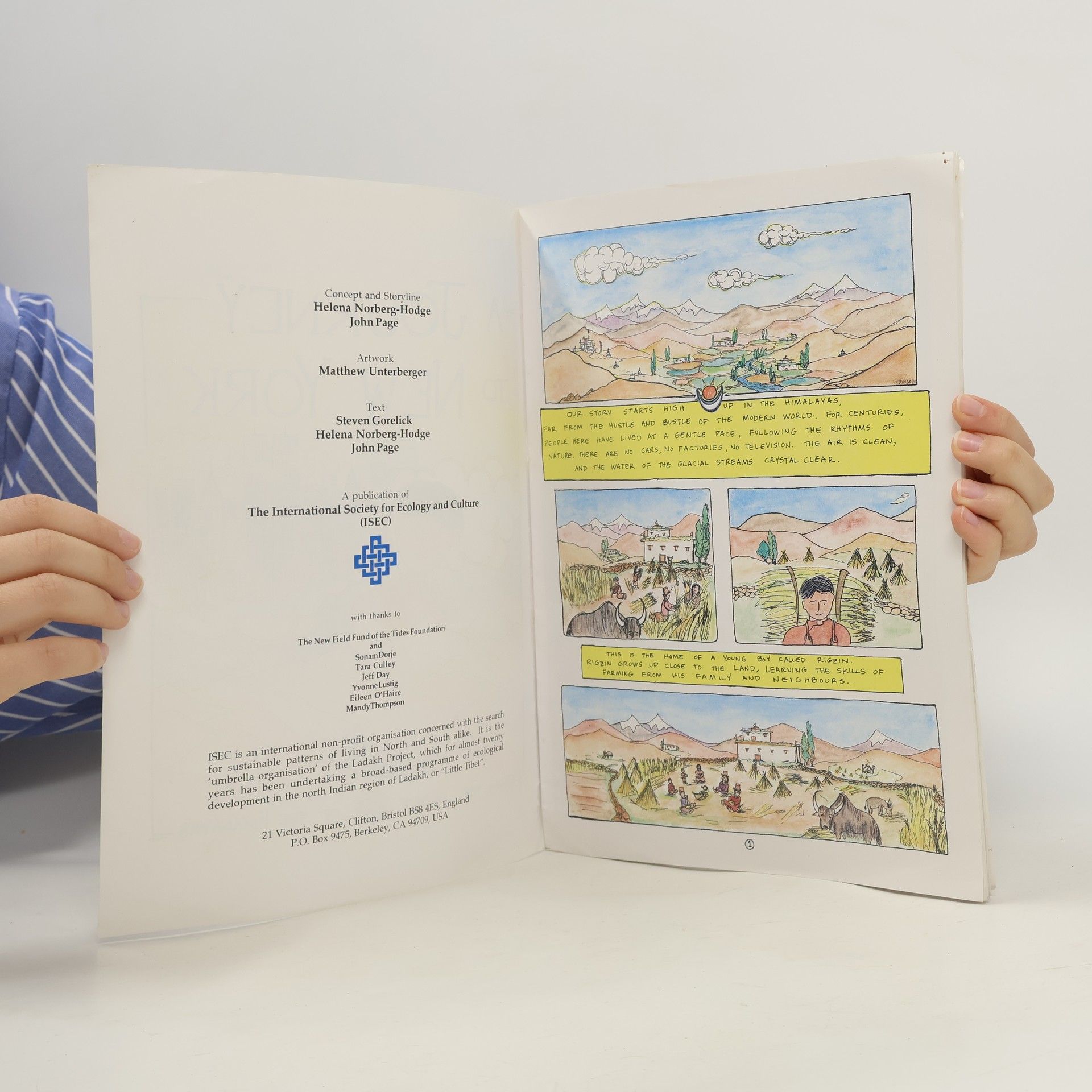 Collectif d'auteurs A Journey to New York