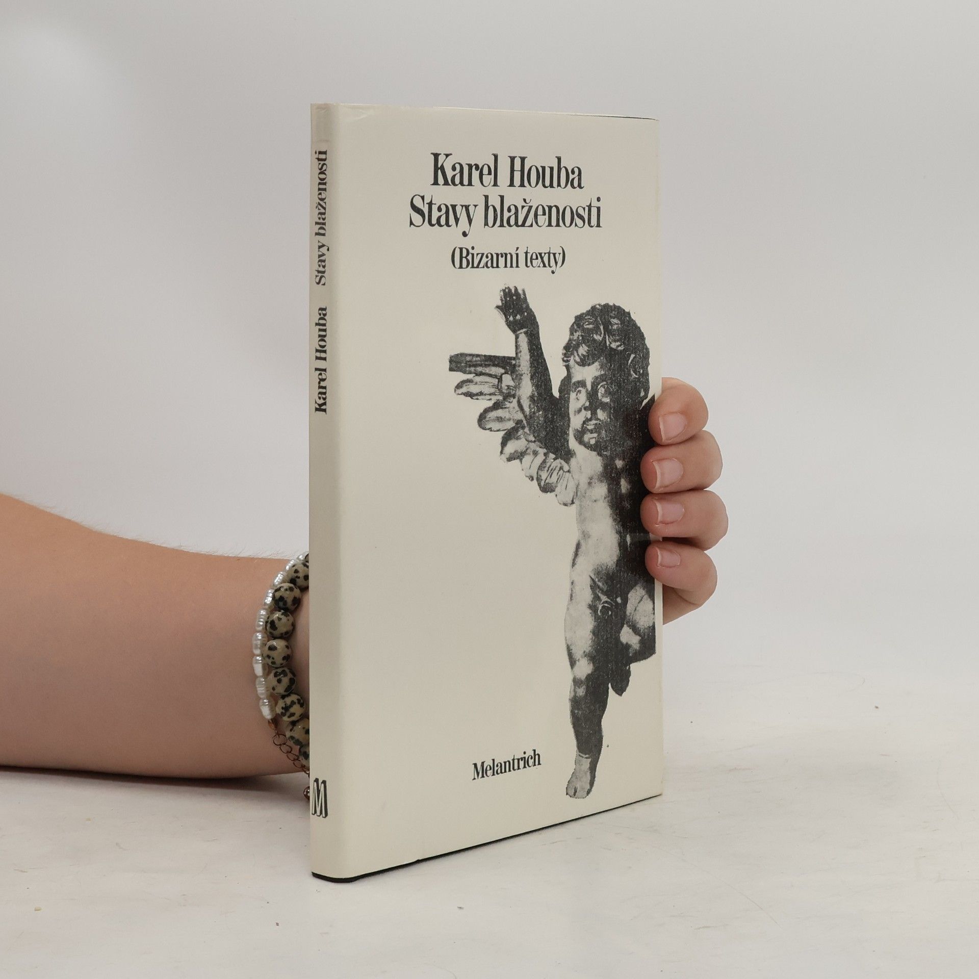 Karel Houba Stavy blaženosti