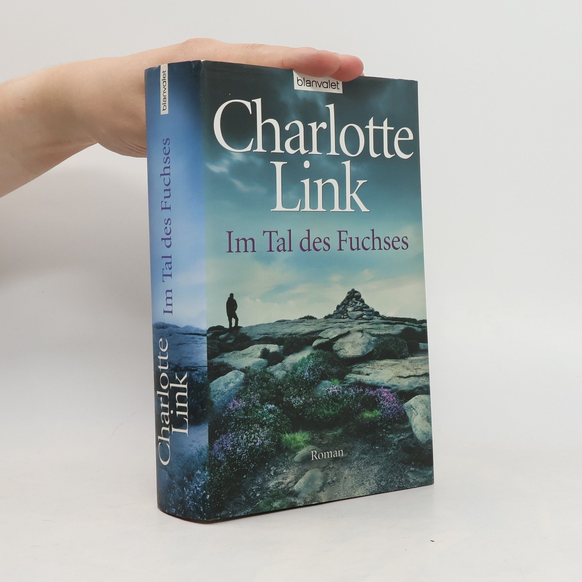 Charlotte Link Im Tal des Fuchses