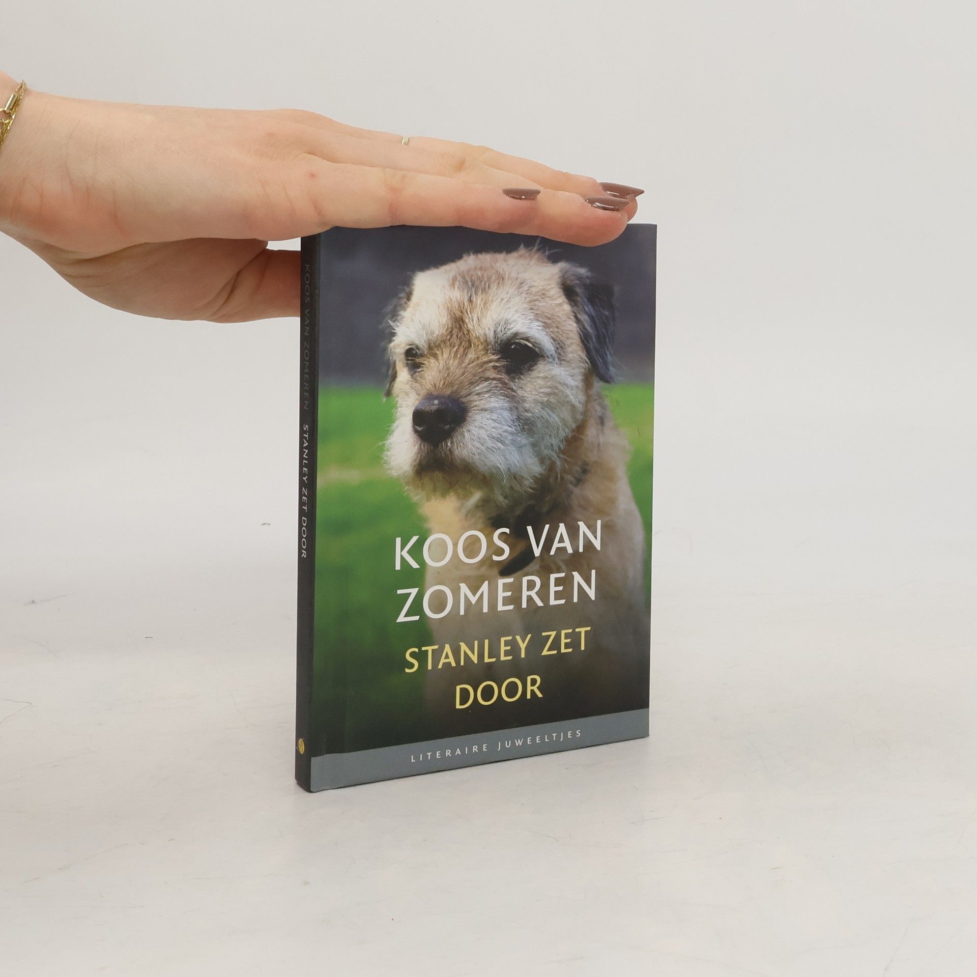 Stanley zet door