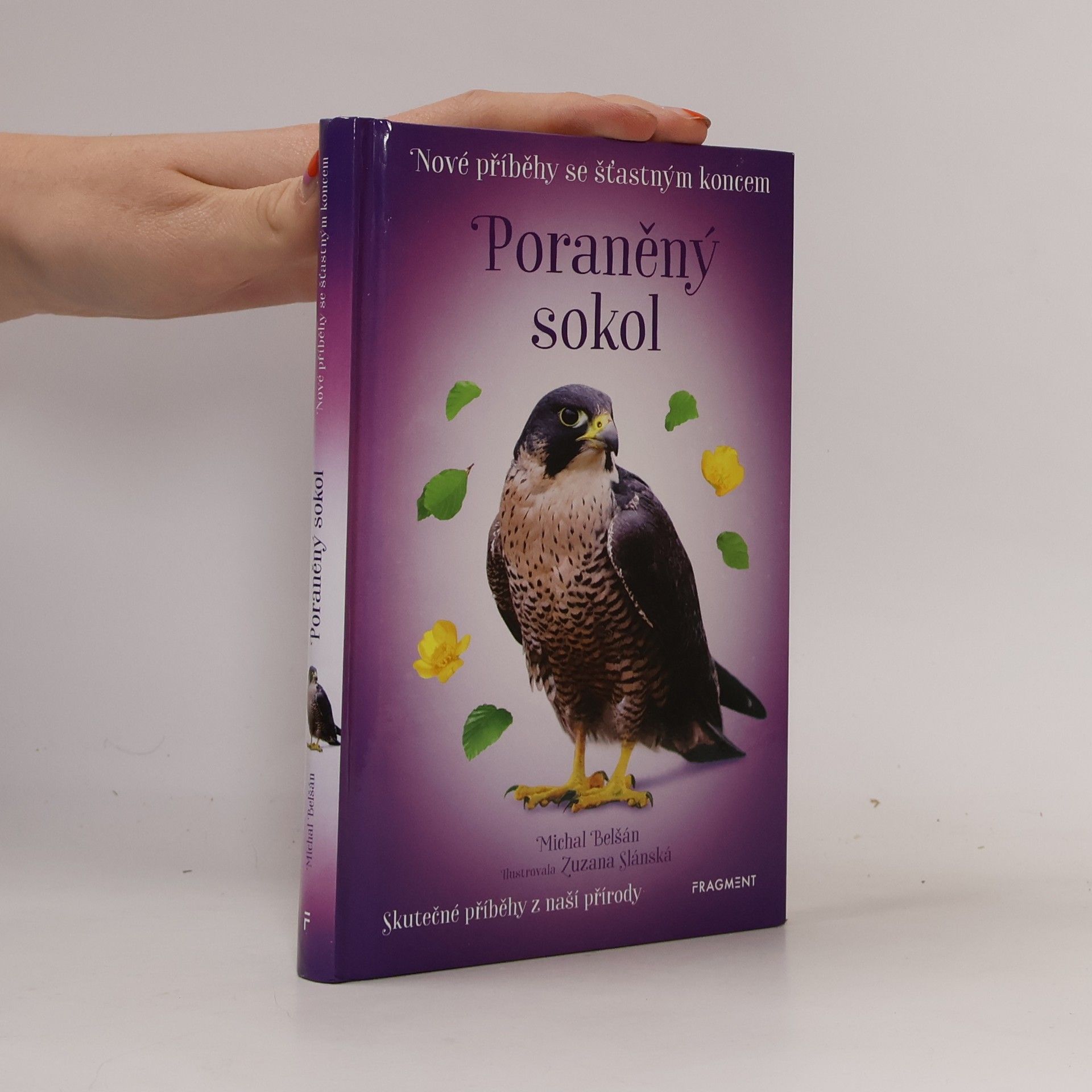 Michal Belšán Poraněný sokol