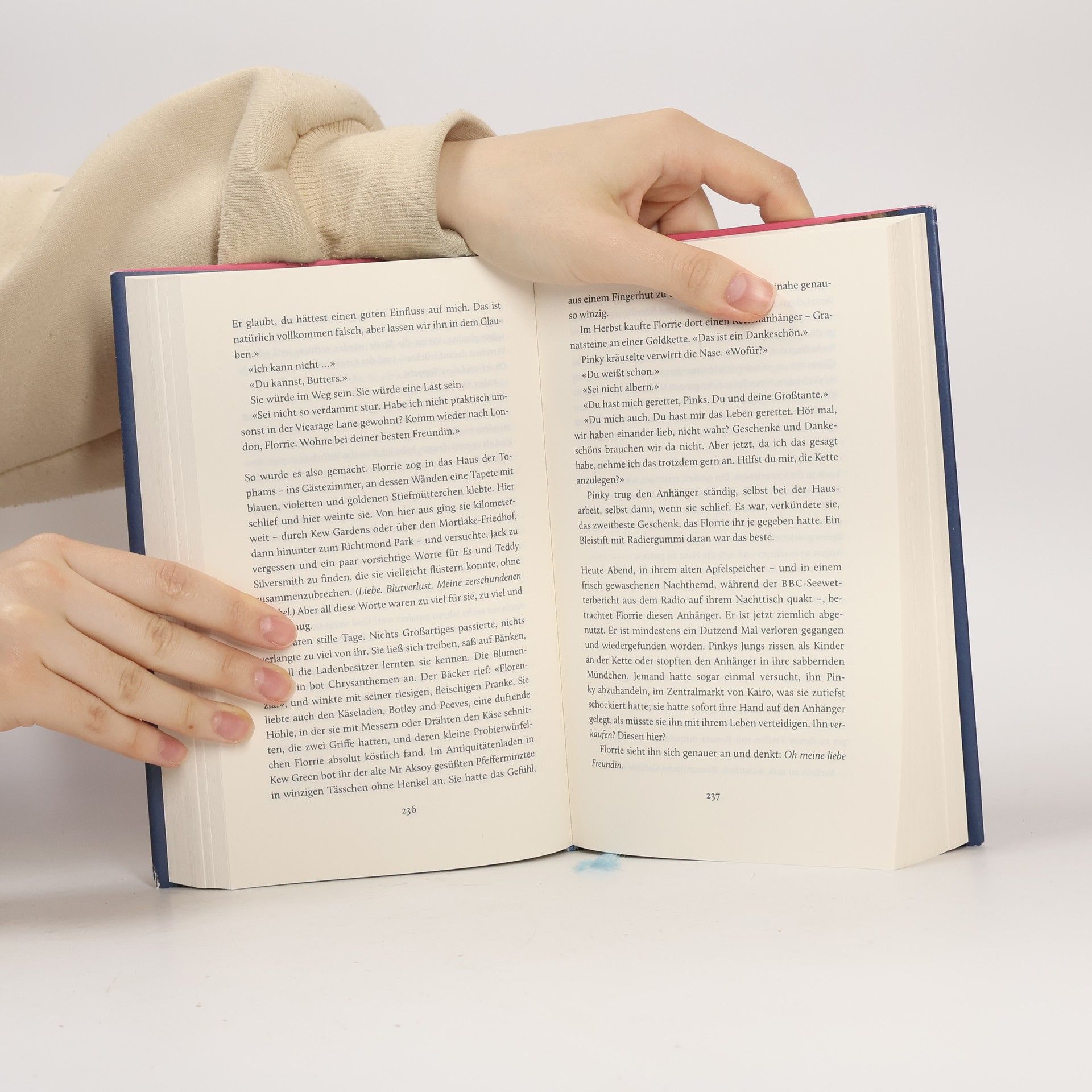Susan Fletcher Florence Butterfield und die Nachtschwalbe