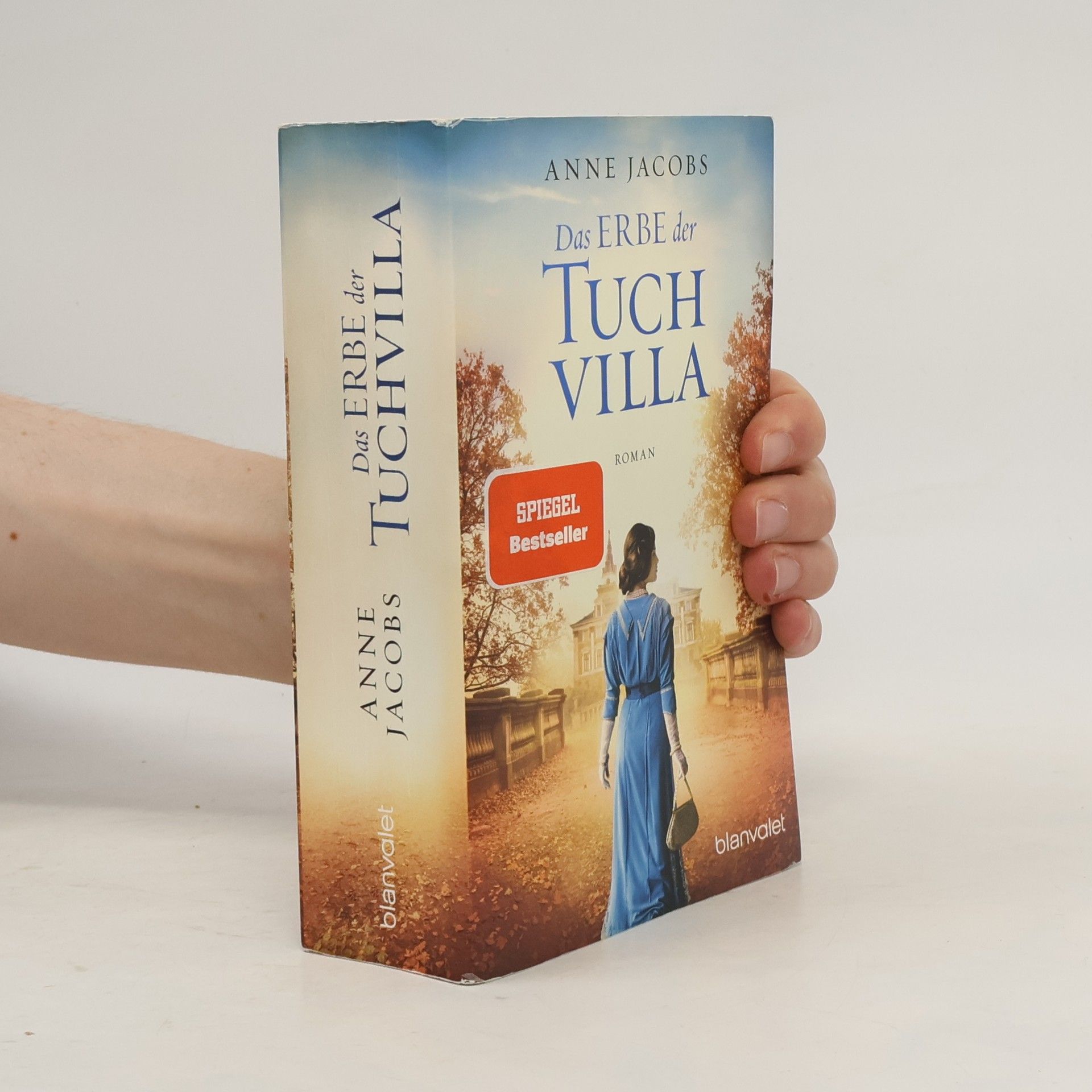 Anne Jacobs Das Erbe der Tuchvilla
