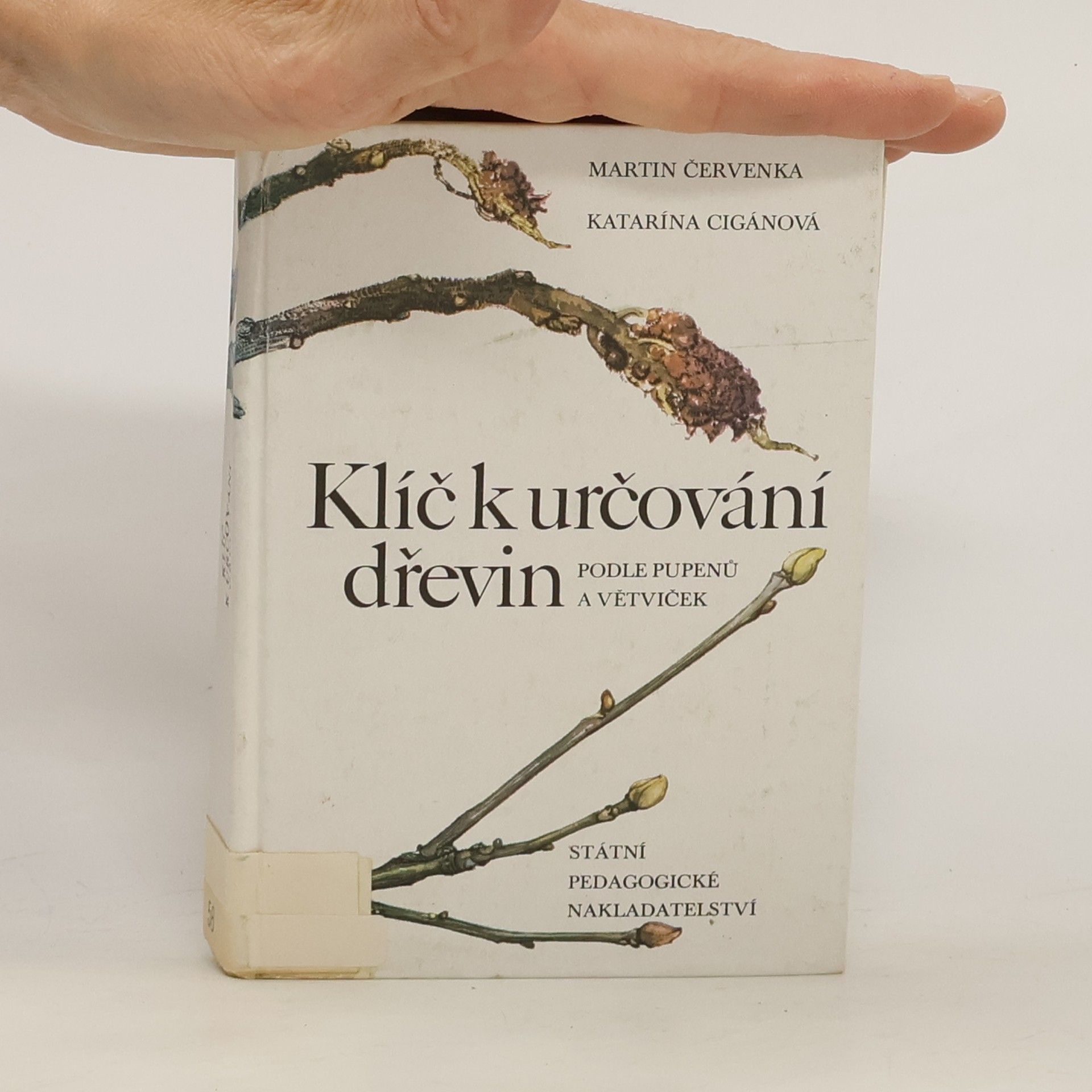 Martin Červenka Klíč k určování dřevin