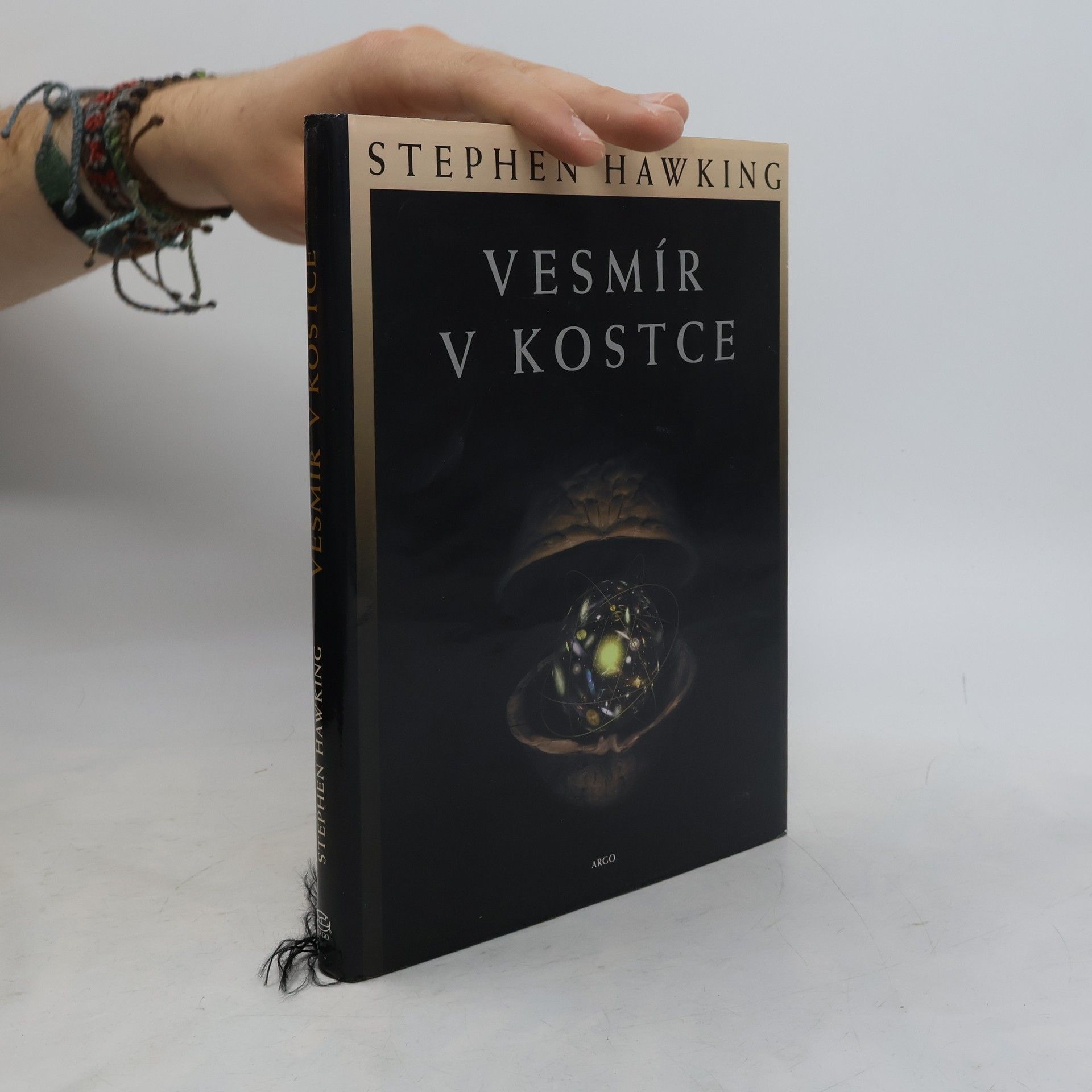 Stephen Hawking Vesmír v kostce