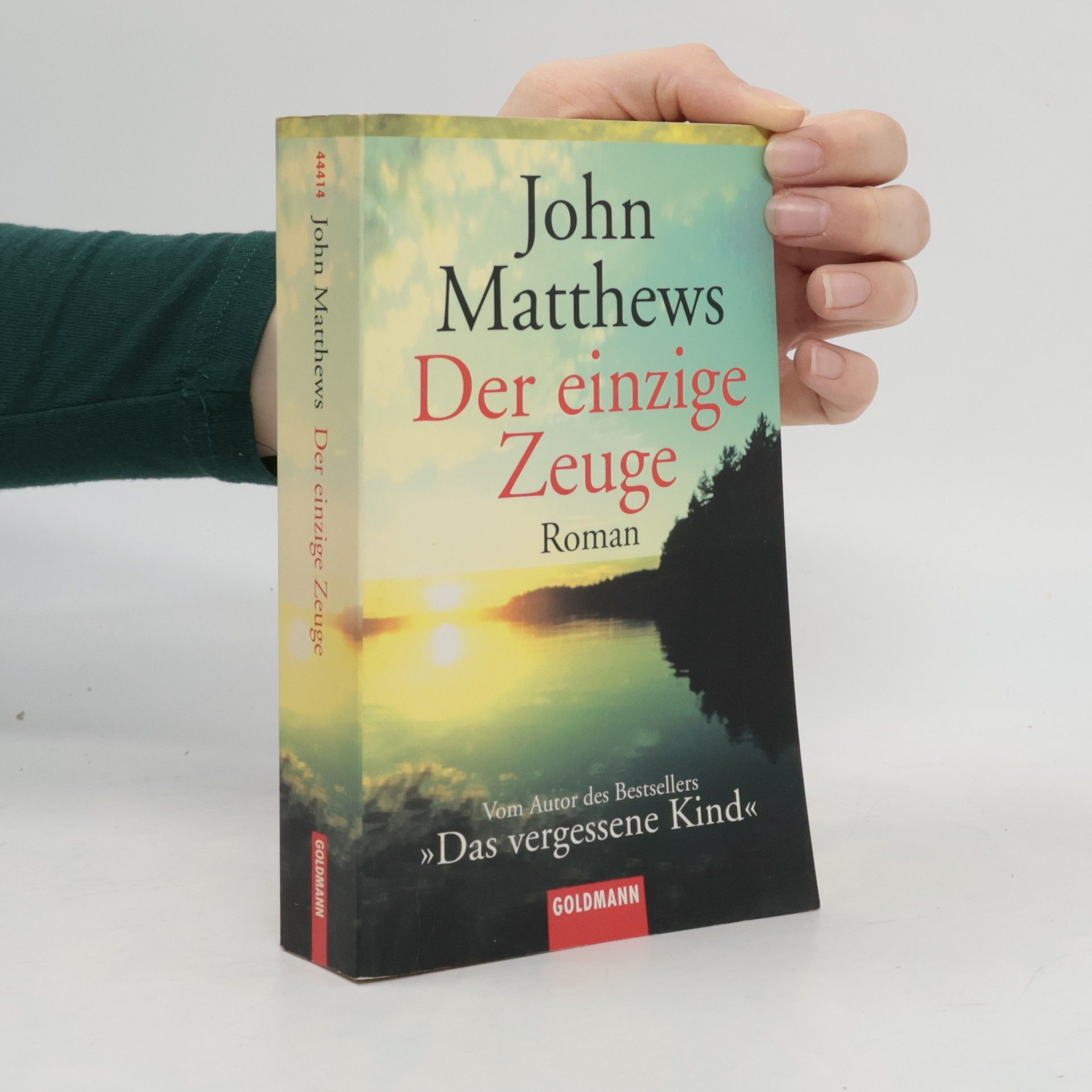 John Matthews Der einzige Zeuge