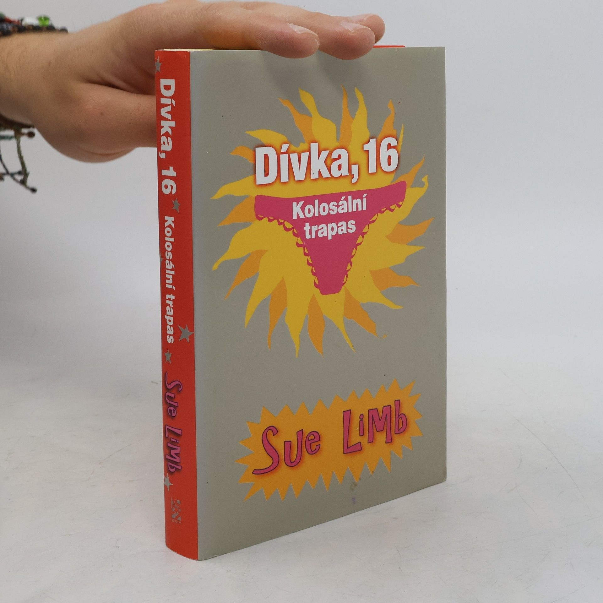 Sue Limb Dívka, 16. Kolosální trapas
