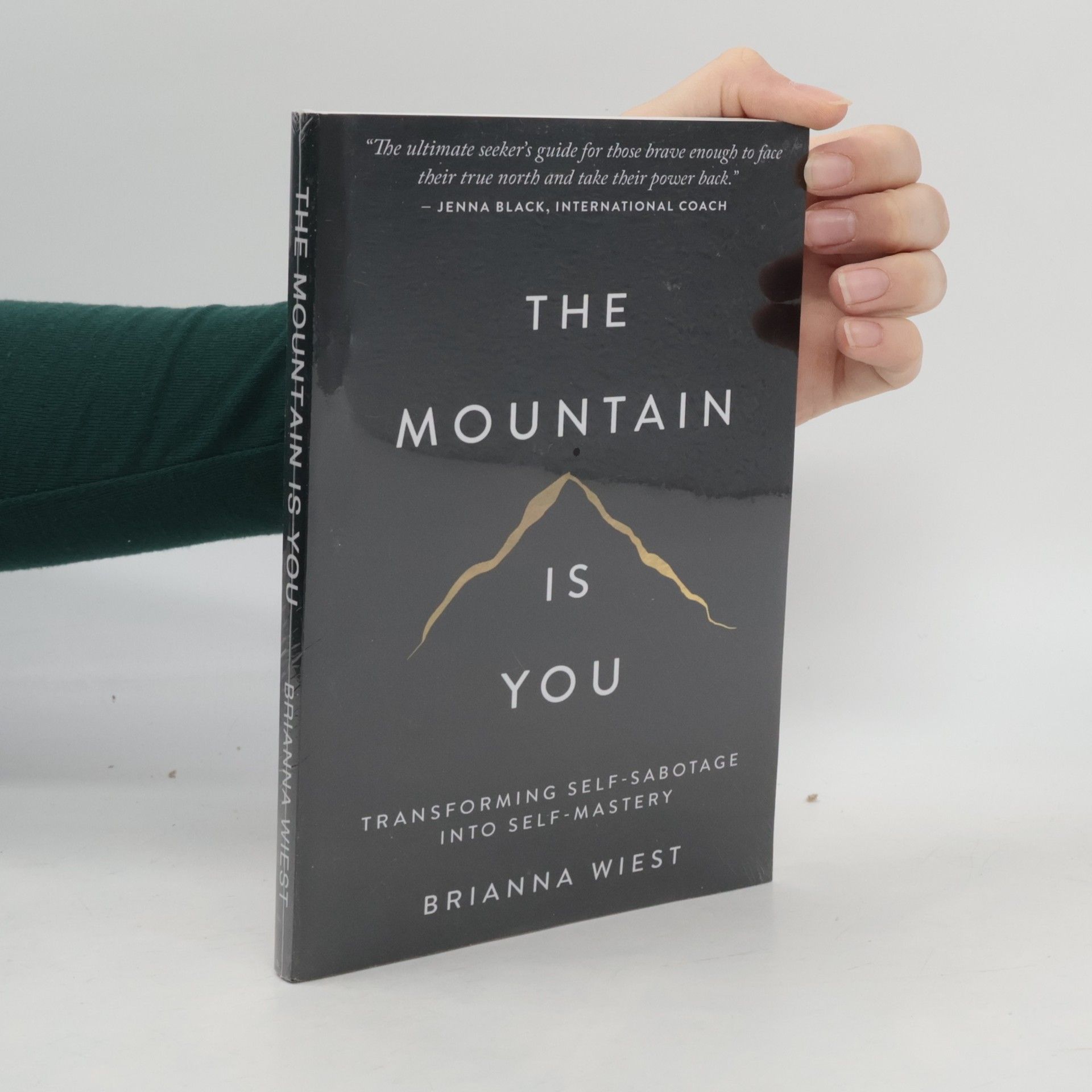 Brianna Wiest The Mountain Is You