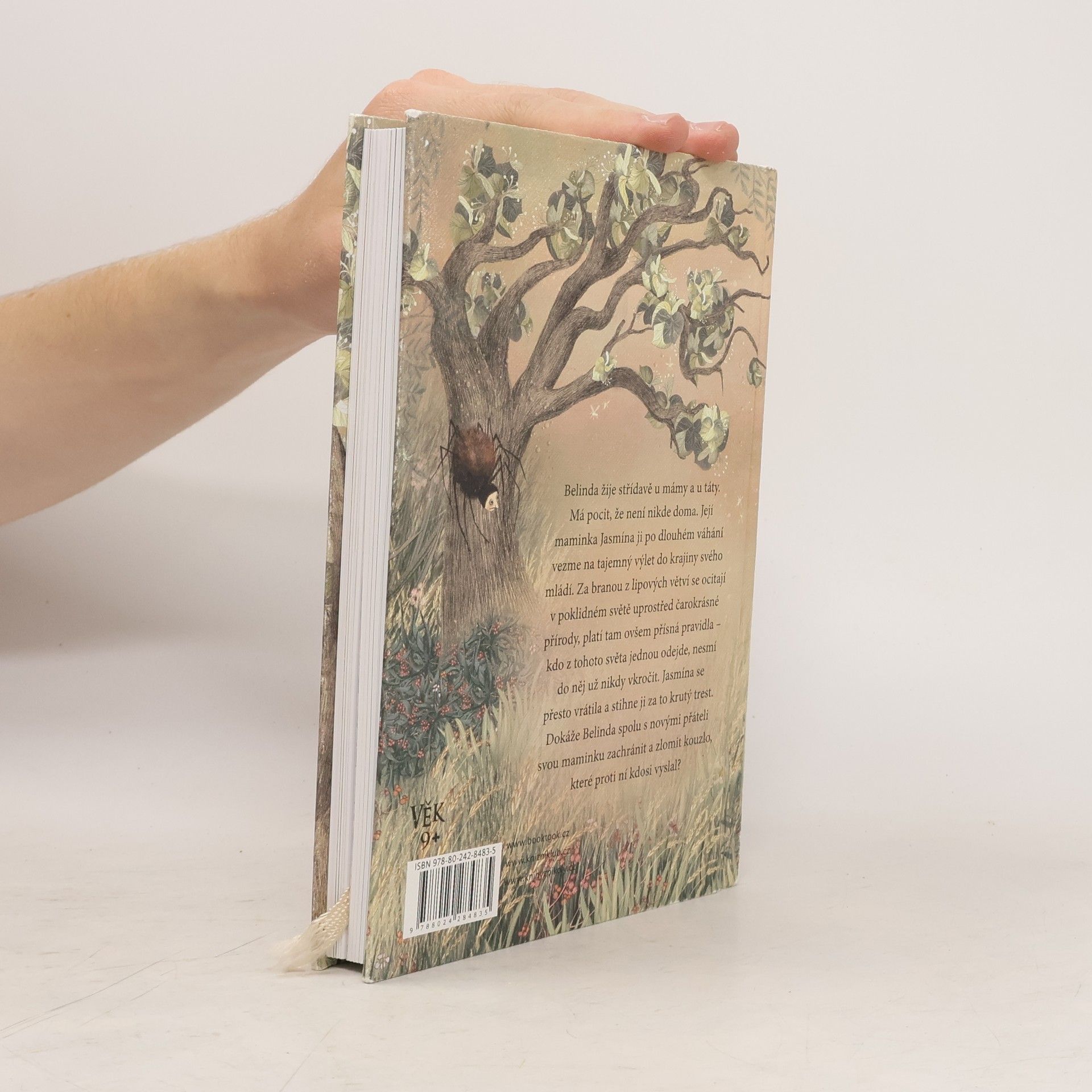 Jolka Krásná Belinda a tajemný výlet