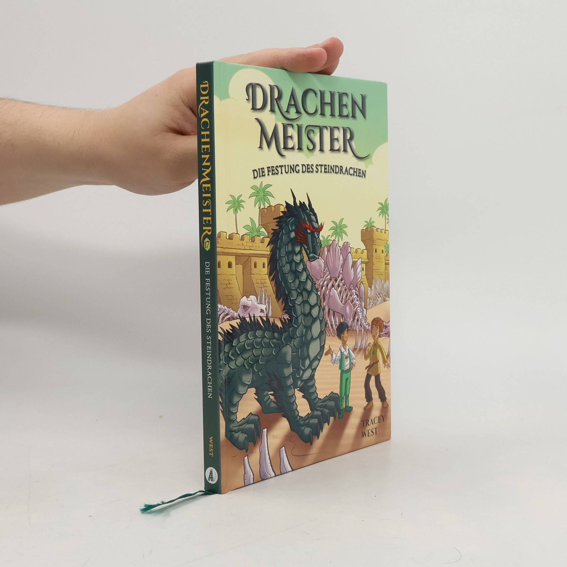 Tracey West Drachenmaster 17: Die Festung des Steindrachen