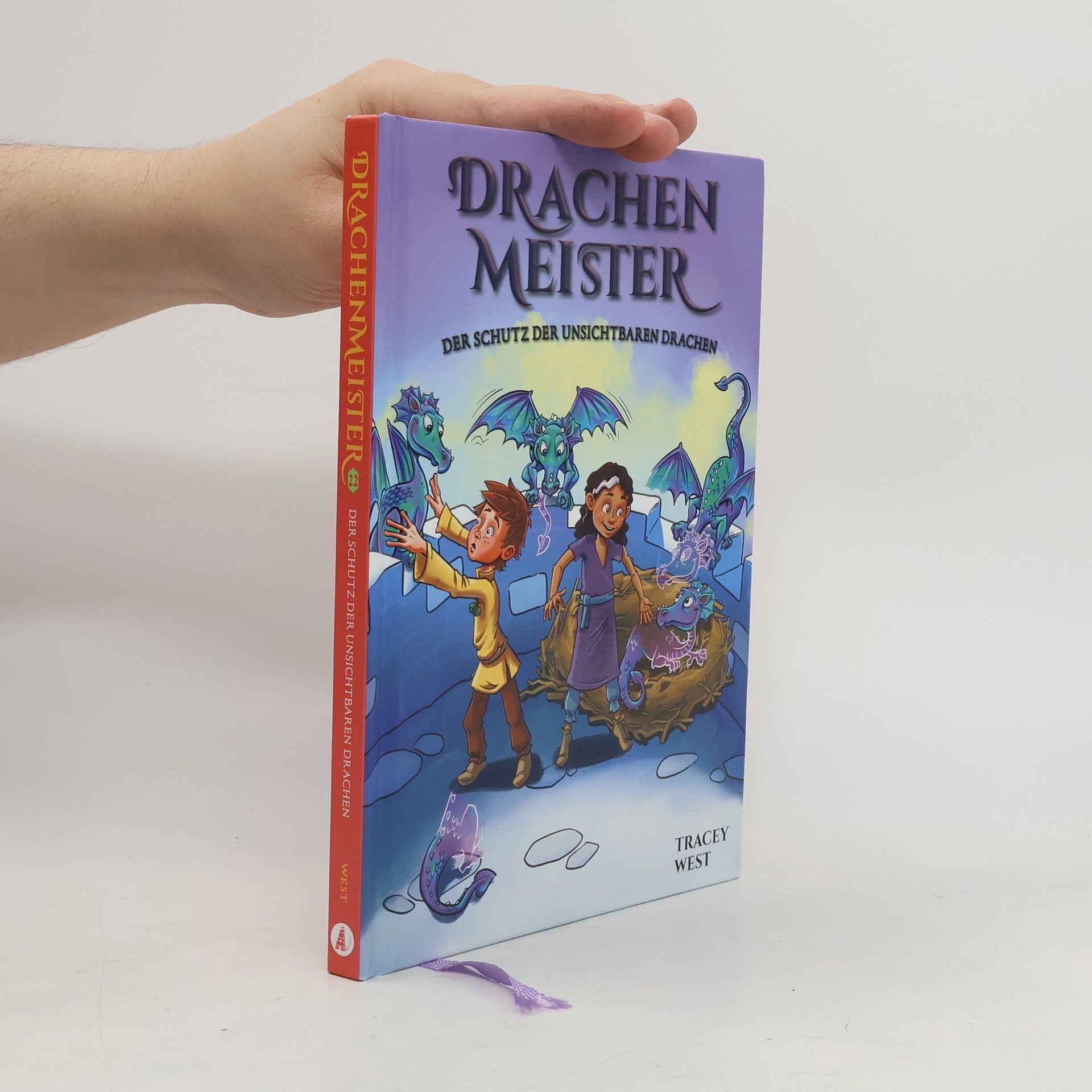 Tracey West Drachenmeister 22: Der Schutz der unsichtbaren Drachen