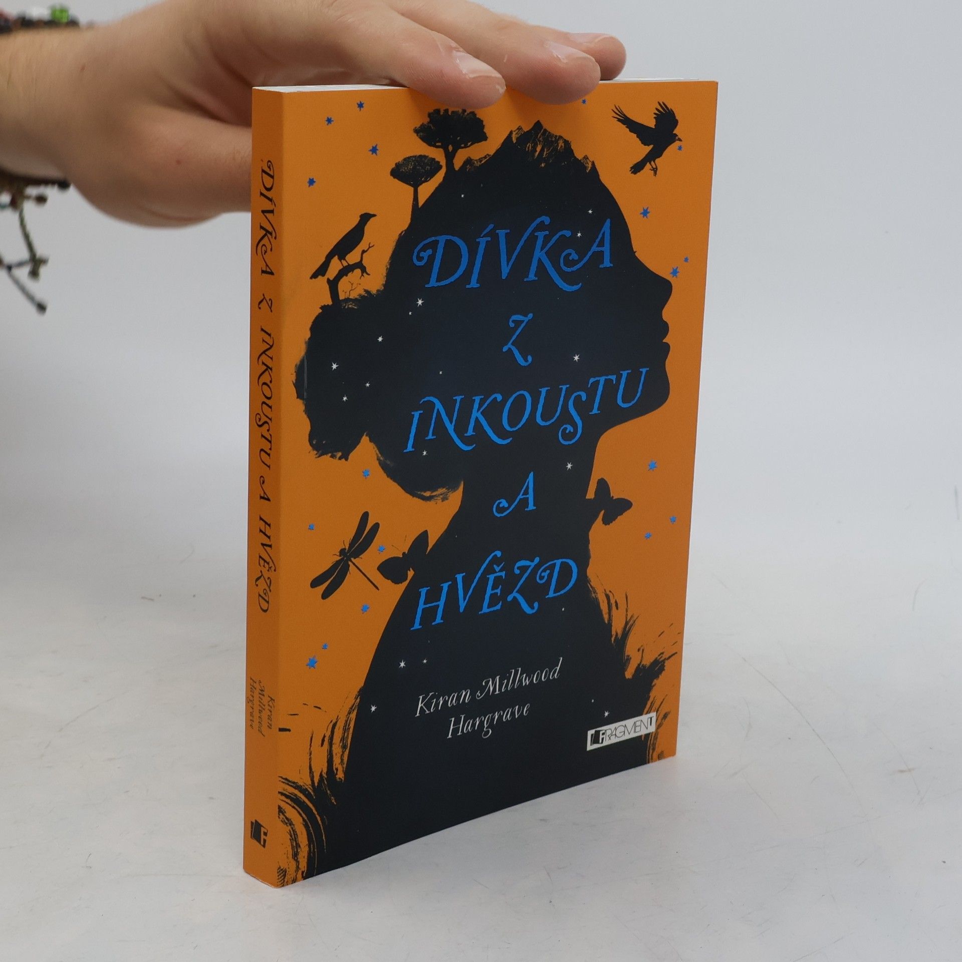 Kirian Millwood Hargrave Dívka z inkoustu a hvězd
