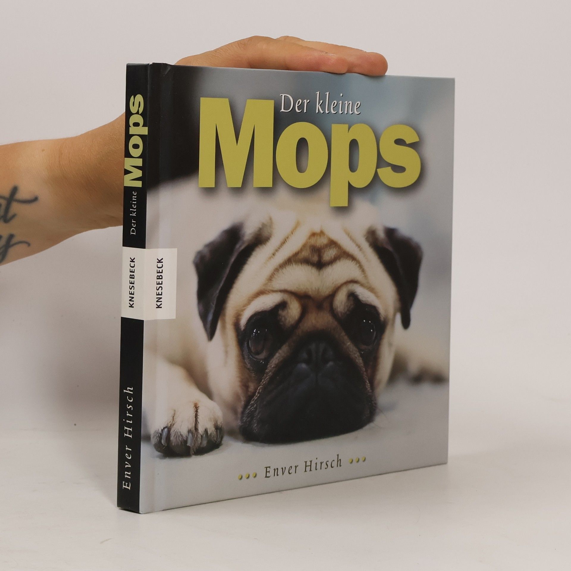 Enver Hirsch Der kleine Mops