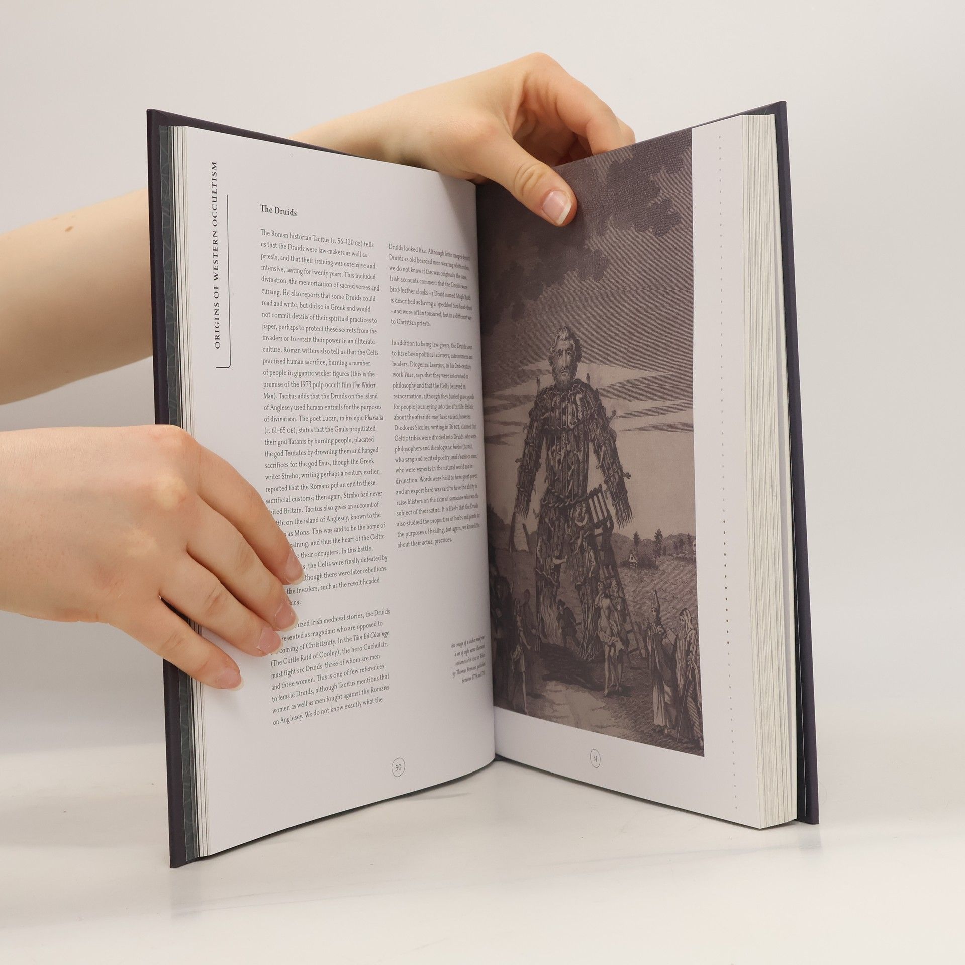 Liz Williams Compendium of the Occult