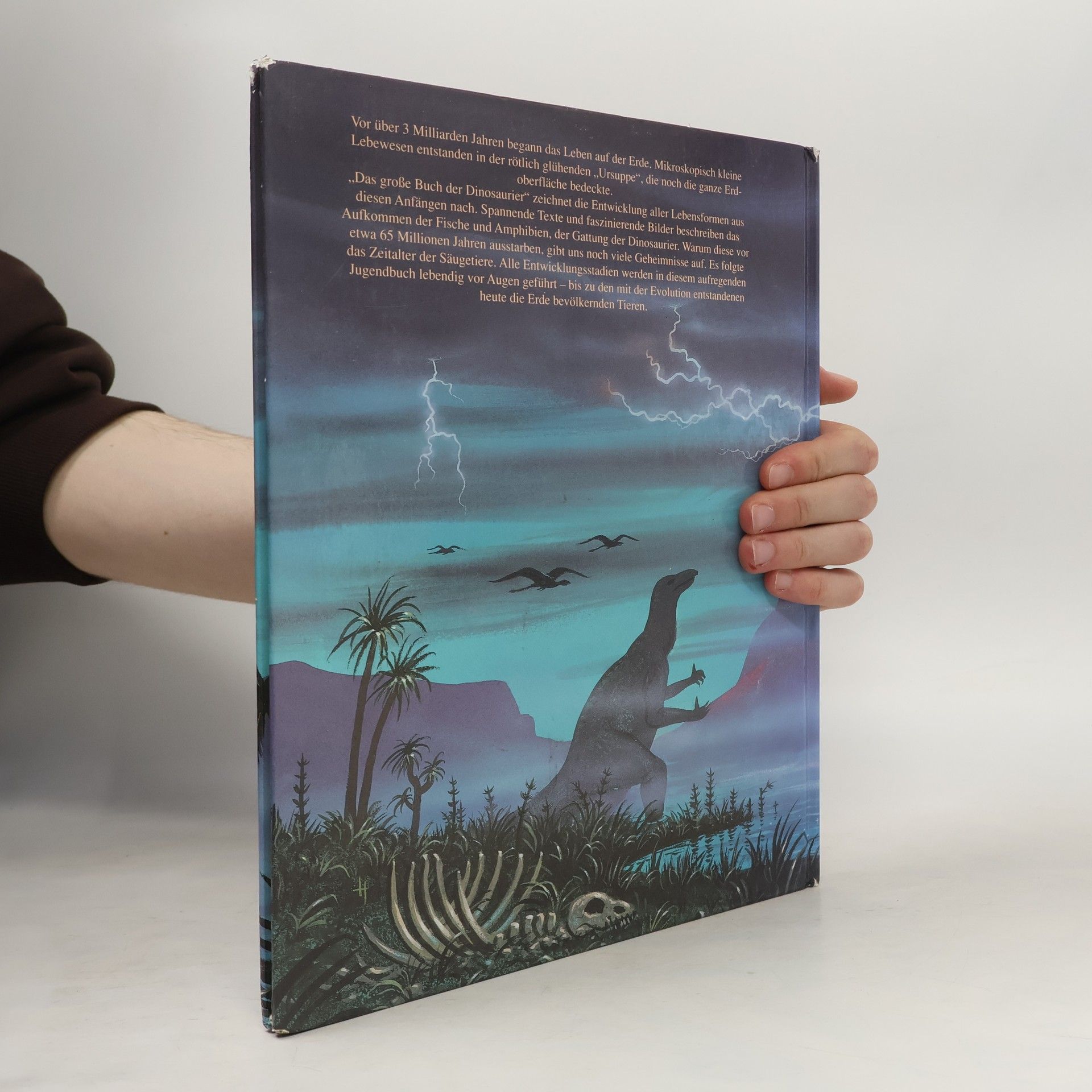 Stephen Attmore Das große Buch der Dinosaurier