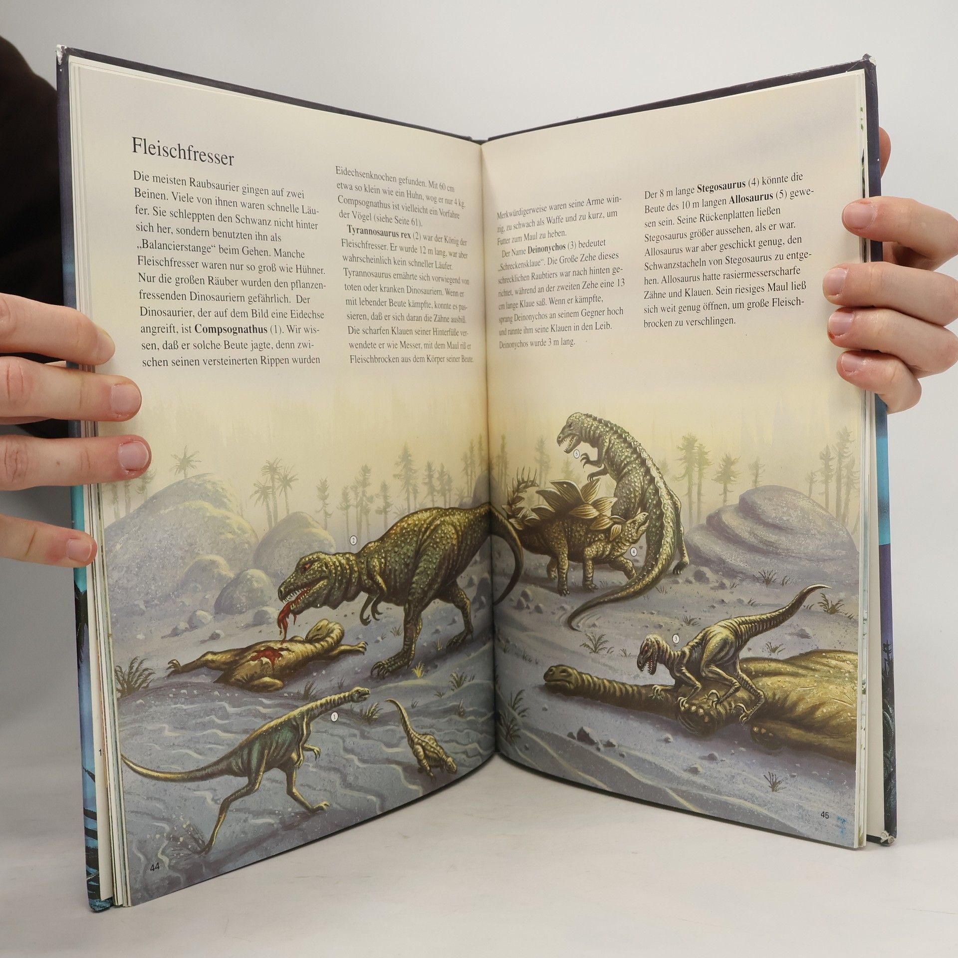 Stephen Attmore Das große Buch der Dinosaurier