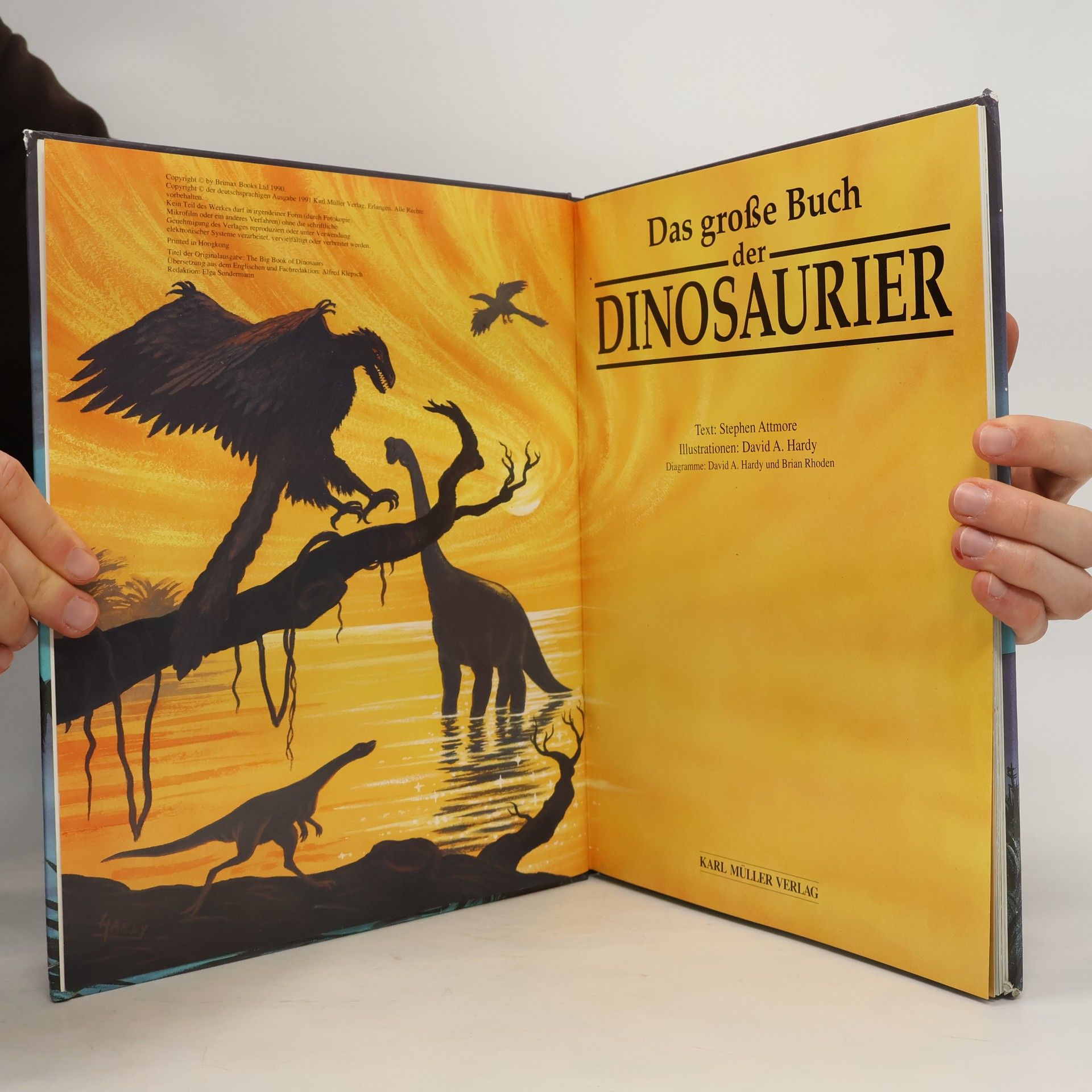 Stephen Attmore Das große Buch der Dinosaurier