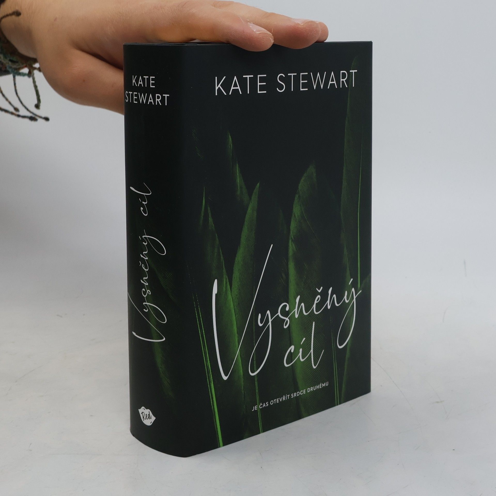 Kate Stewart Vysněný cíl. Kniha třetí