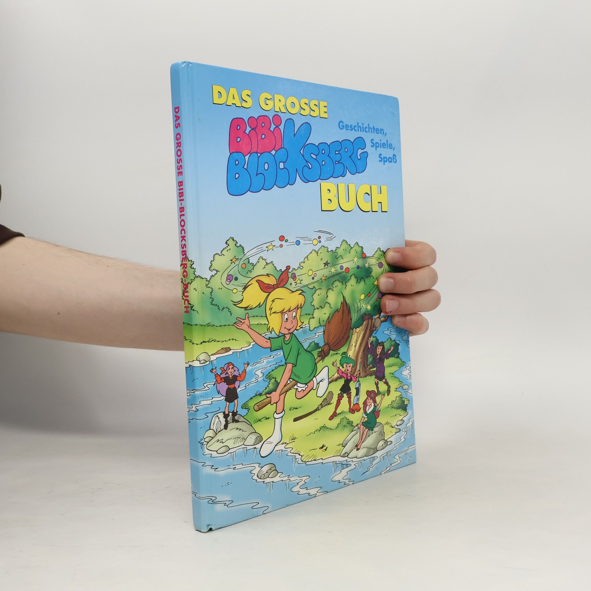 Autorenkollektiv Das grosse Bibi Blocksberg Buch