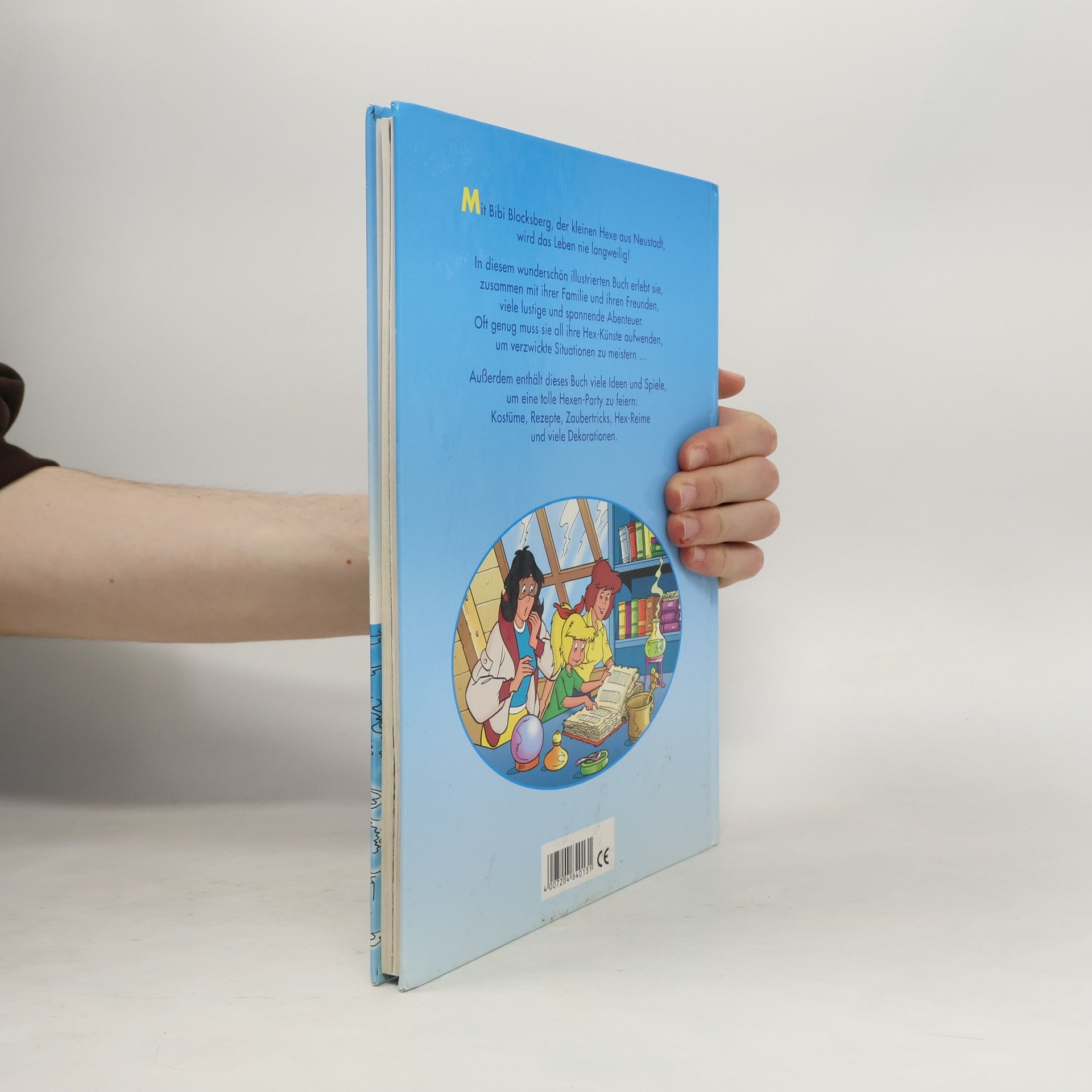 Autorenkollektiv Das grosse Bibi Blocksberg Buch