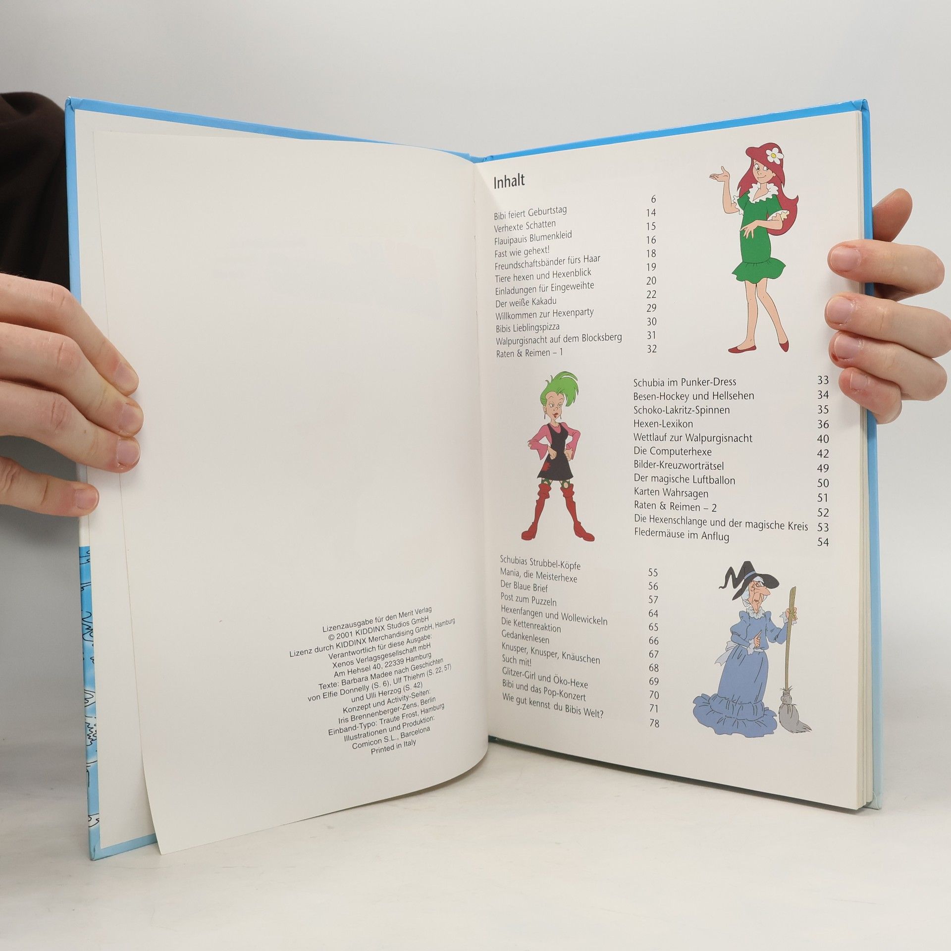 Autorenkollektiv Das grosse Bibi Blocksberg Buch