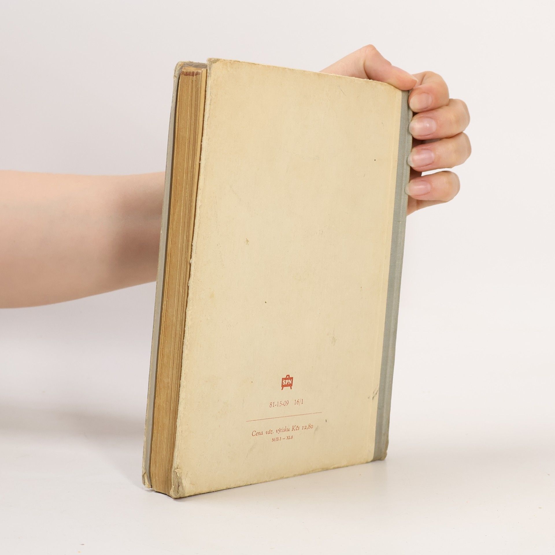 Vítězslav Tichý Stručné dějiny české a slovenské literatury