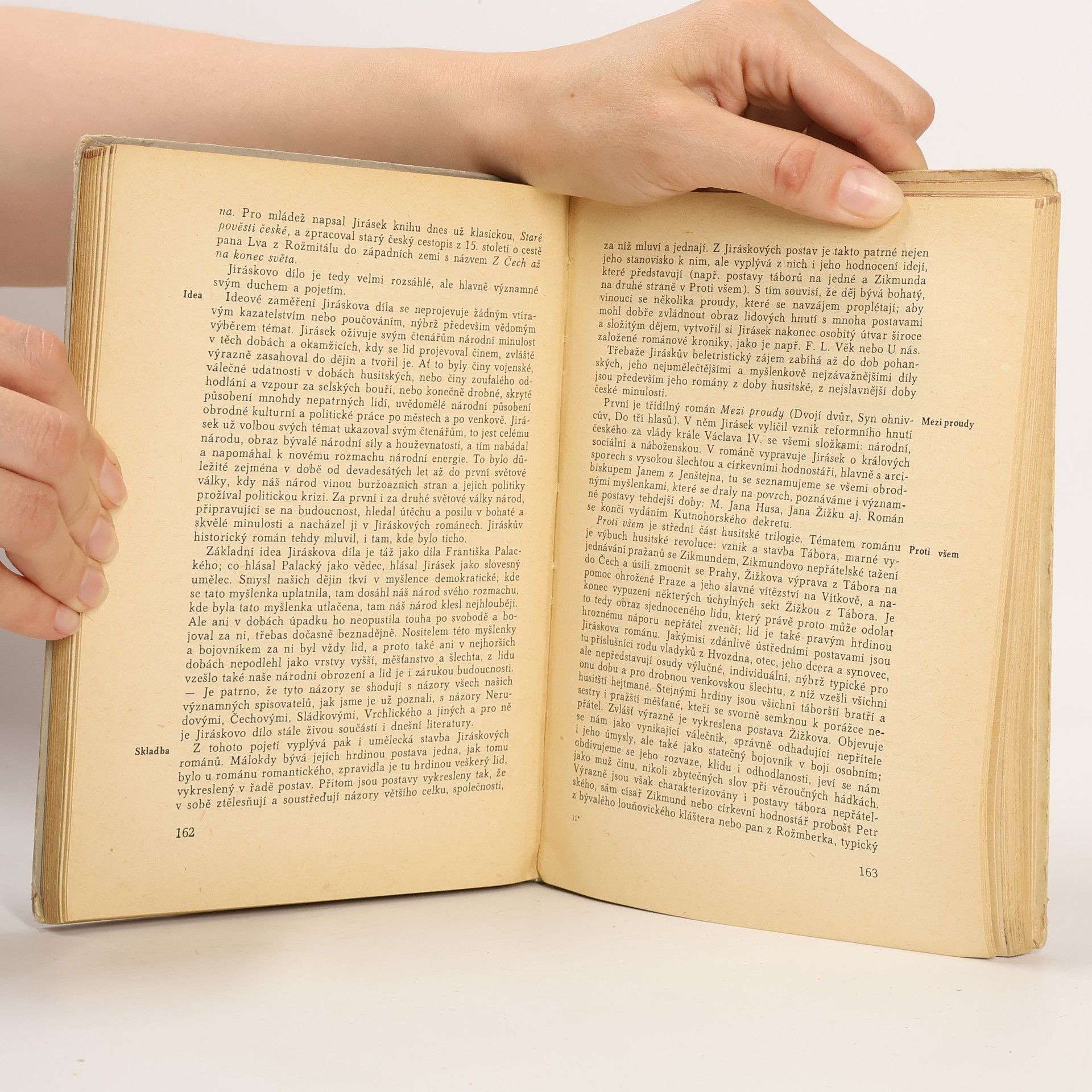 Vítězslav Tichý Stručné dějiny české a slovenské literatury