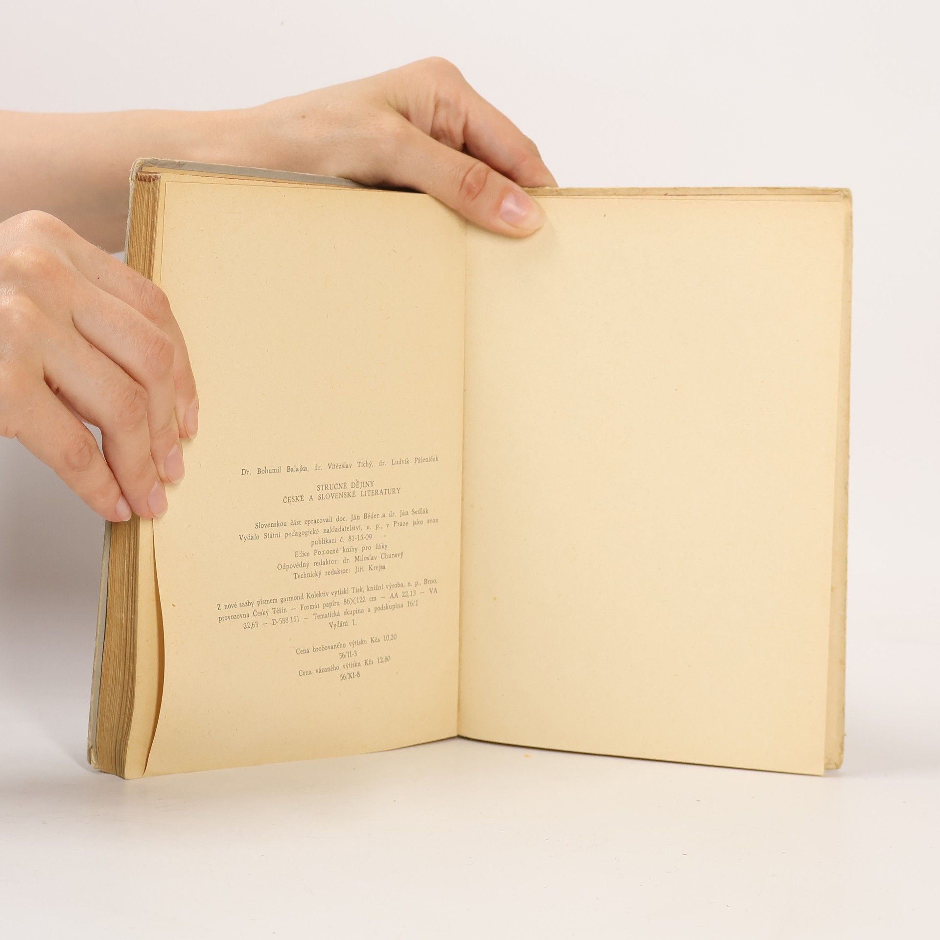 Vítězslav Tichý Stručné dějiny české a slovenské literatury