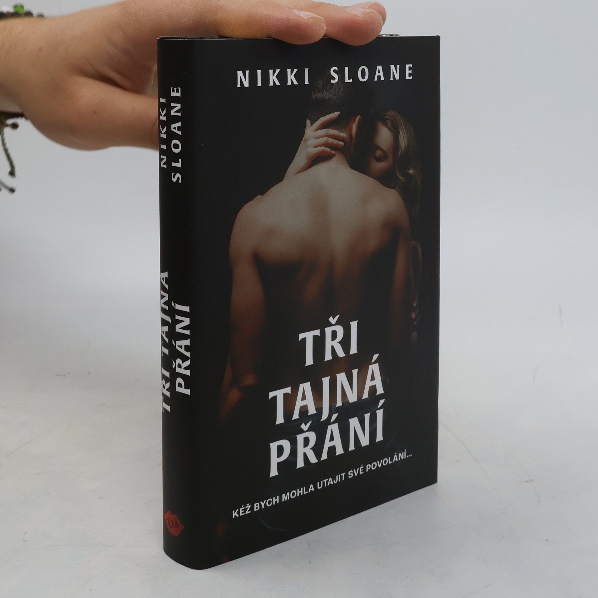 Nikki Sloane Tři tajná přání