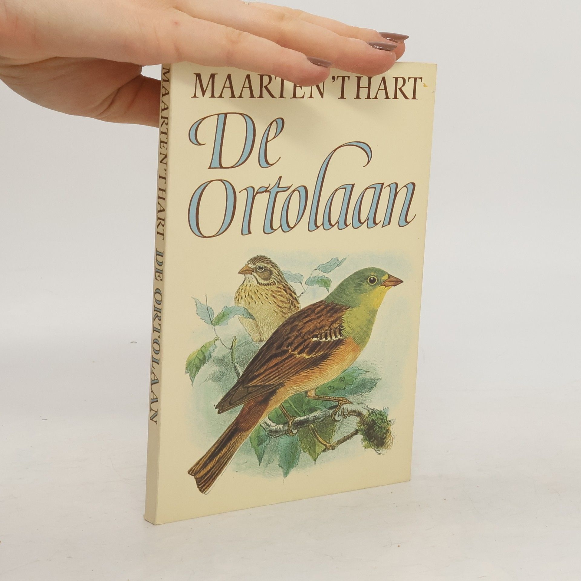 Maarten t. Hart De ortolaan