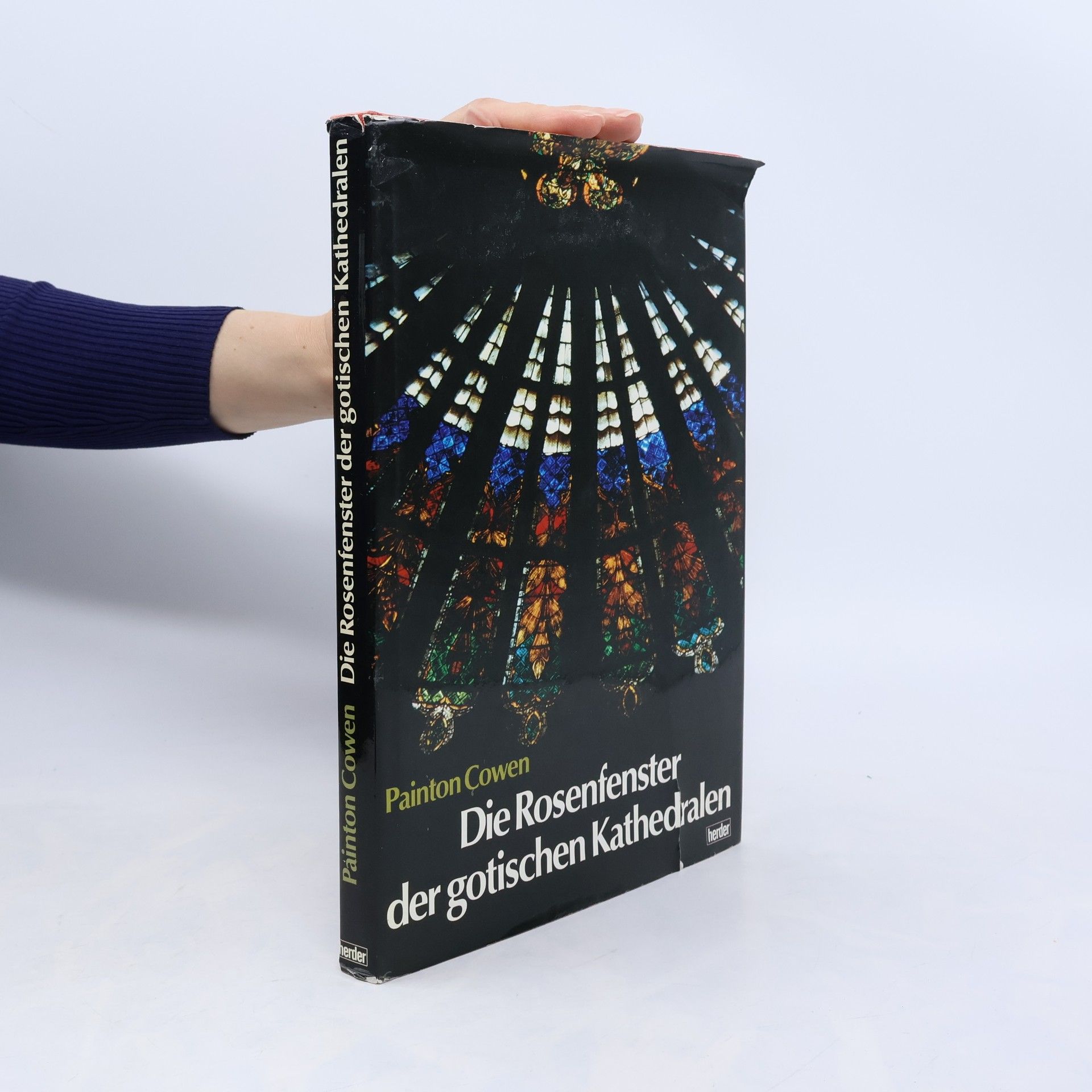 Painton Cowen Die Rosenfenster der gotischen Kathedralen