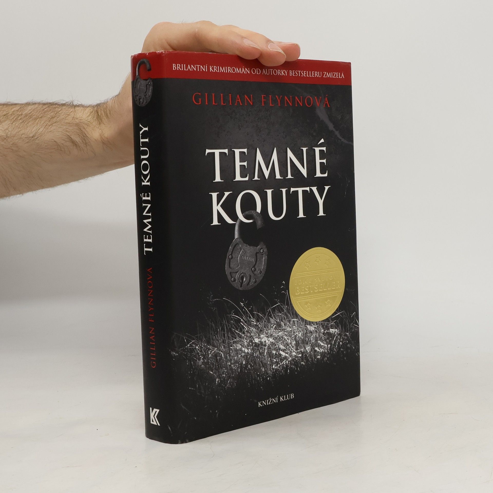 Gillian Flynn Temné kouty