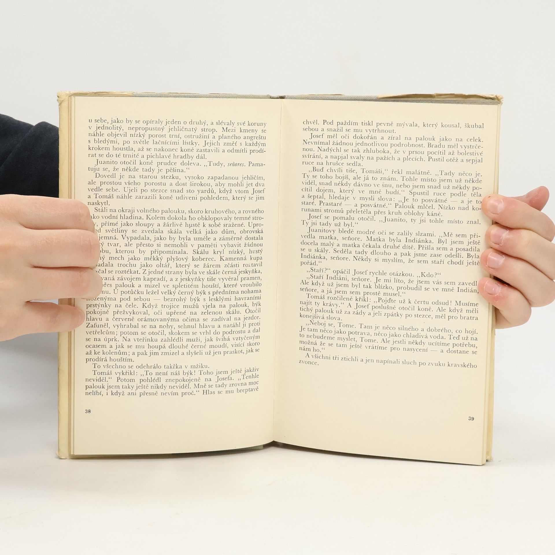 John Steinbeck Neznámému bohu