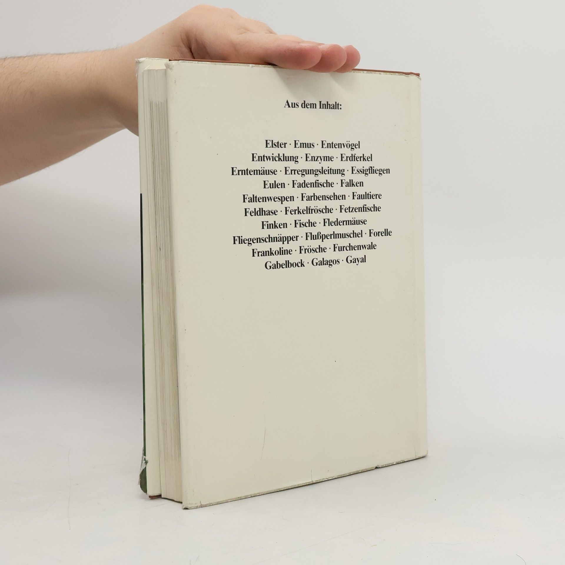 Autorenkollektiv Das moderne Tierlexikon 3. Els-Gaz